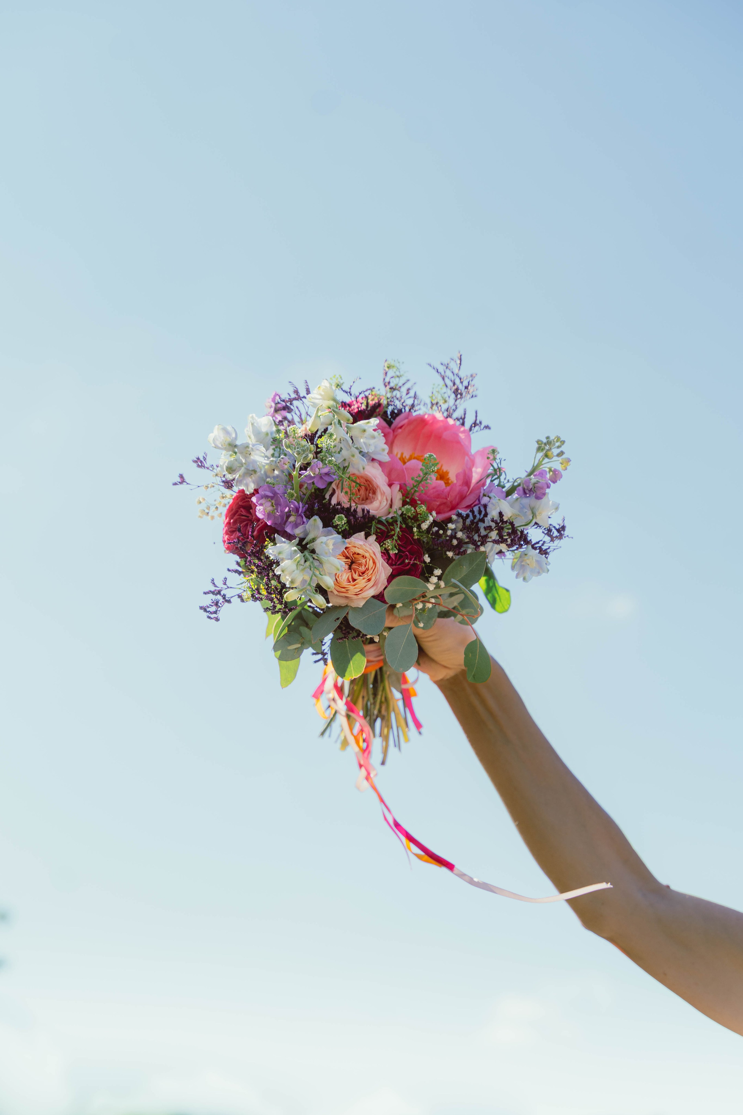 Claire & Cyril. Weeding photographer / event / portrait