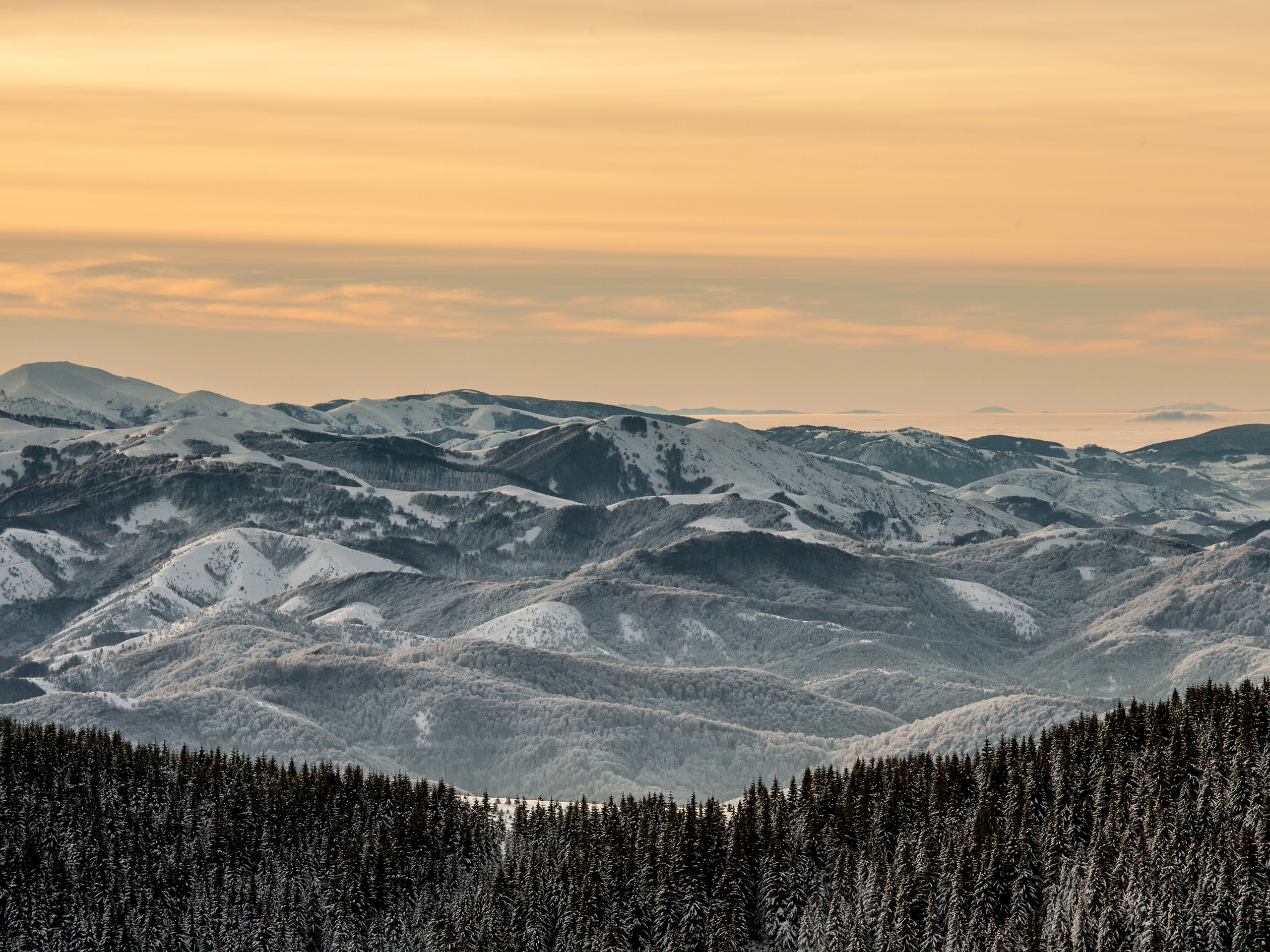 Commercial and studio photographer in Belgrade