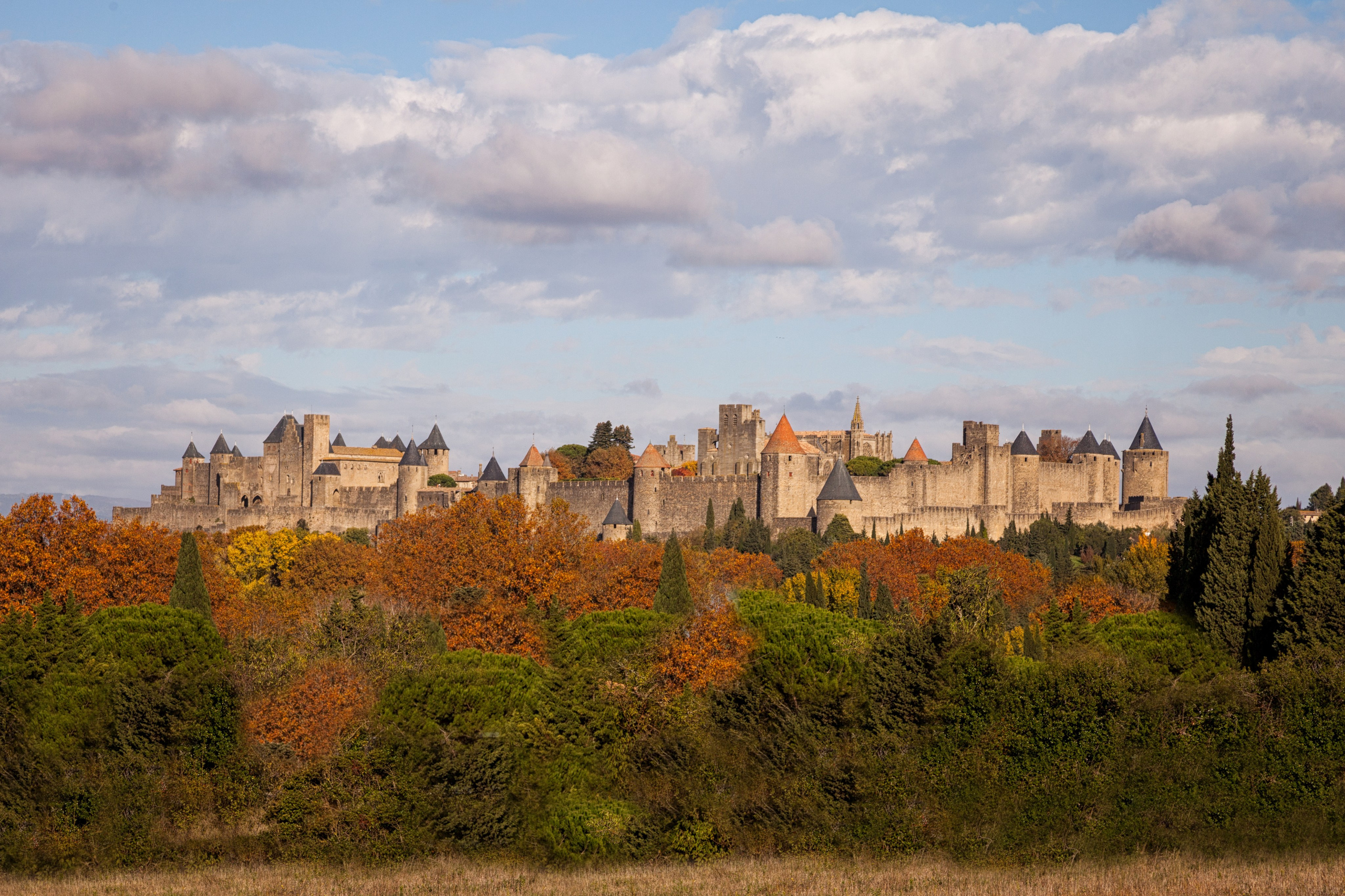 Toulouse. Eugénie Smirnova — Photographe à Toulouse et dans le Sud-Ouest