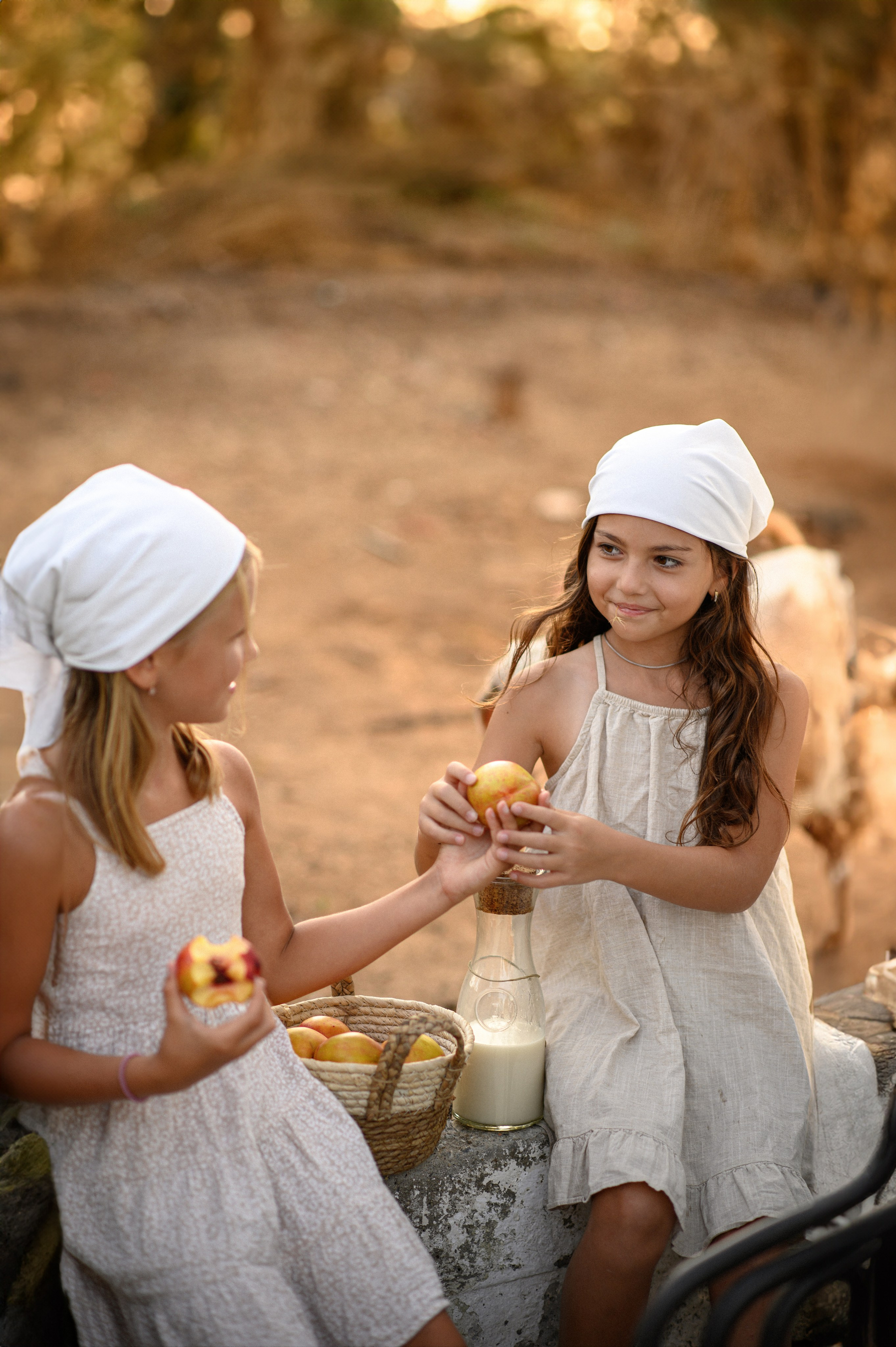 Goat. Семейная, детская, портретная и предметная фотосъемка в Салониках