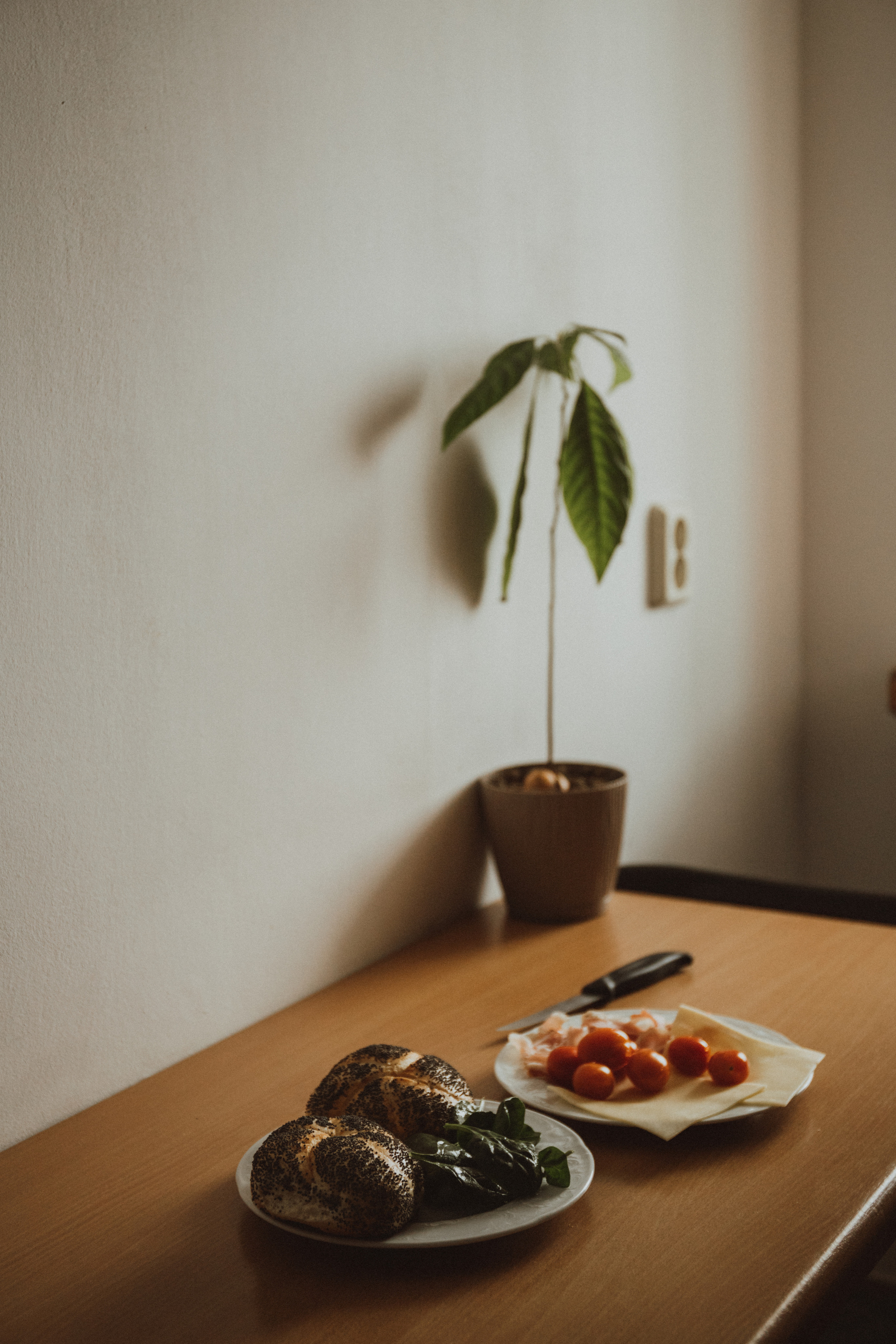 MANUELLA ANDREY. Fotograf Mykhalchuk Inna Kraków