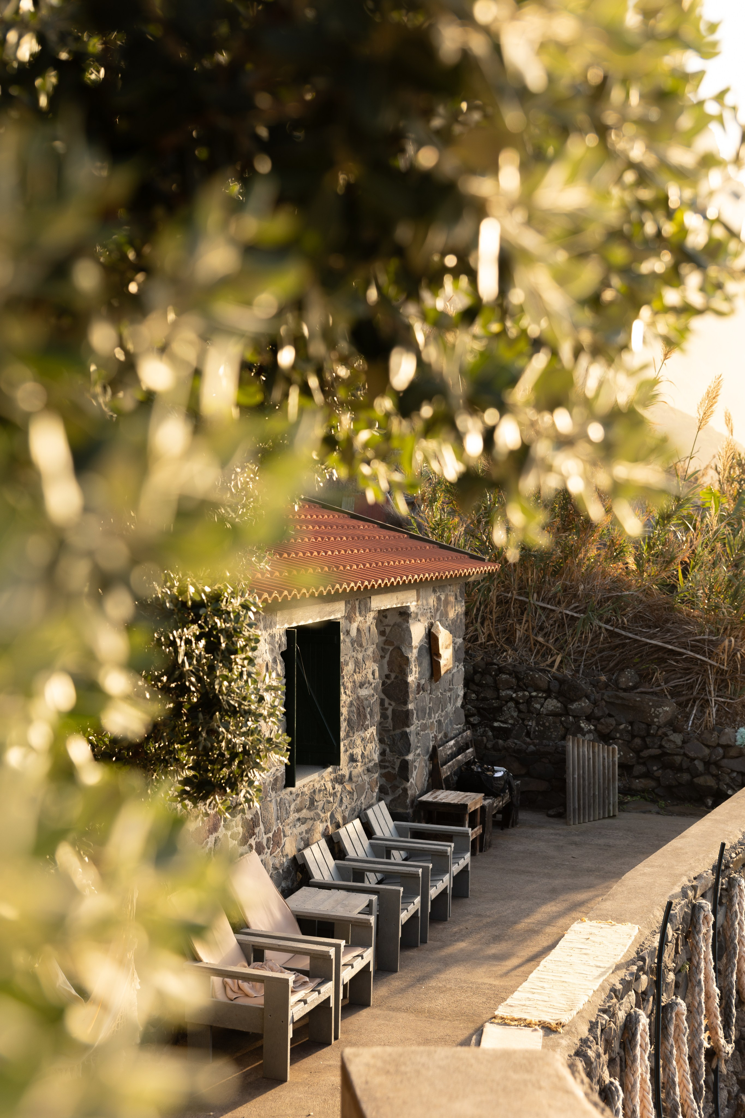 Lost in Madeira. Patricia Morenci — Mountain Adventures for the Wild at Heart