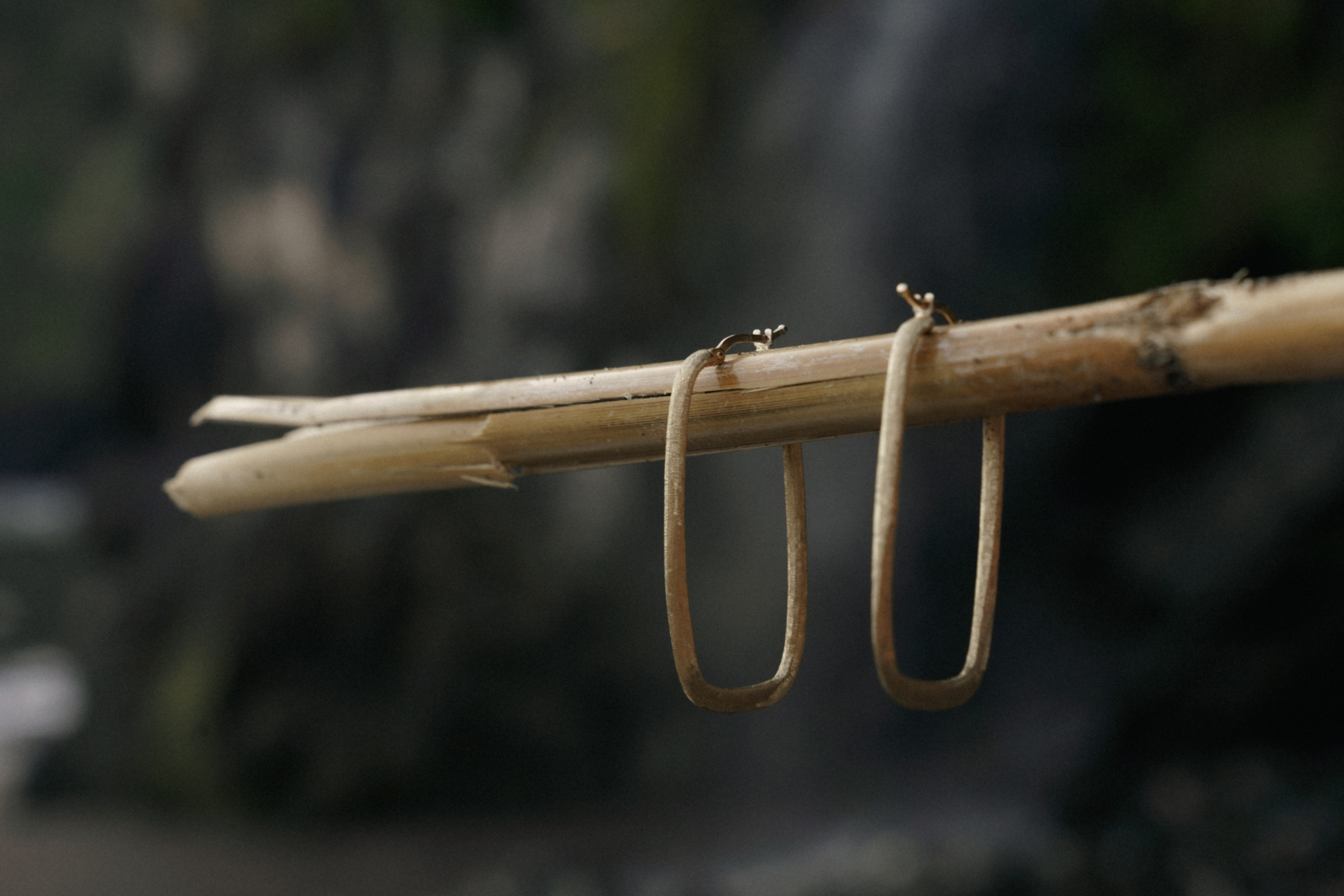 Lost in Madeira. Patricia Morenci — Mountain Adventures for the Wild at Heart