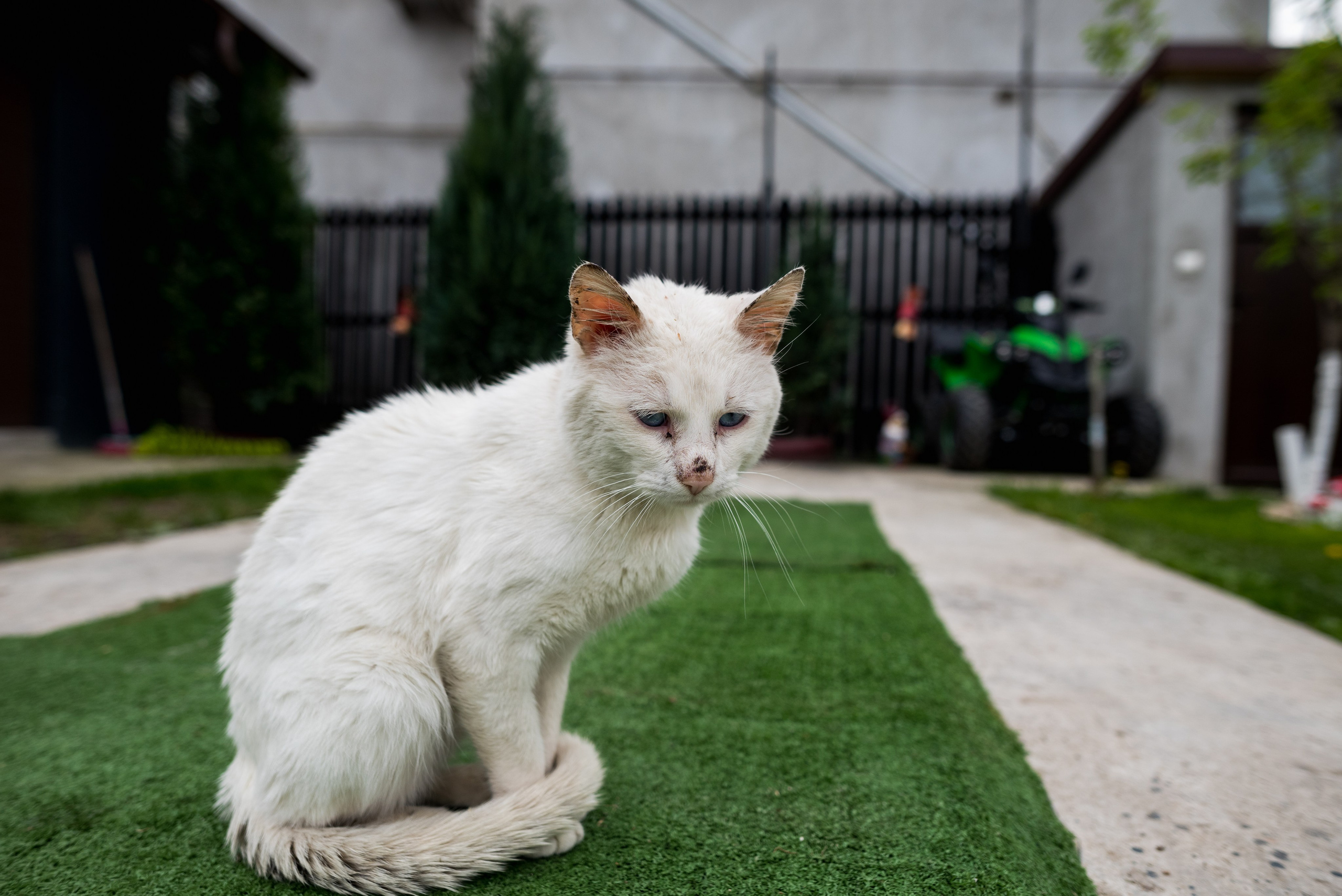 Botez. Fotograf evenimente Targoviste