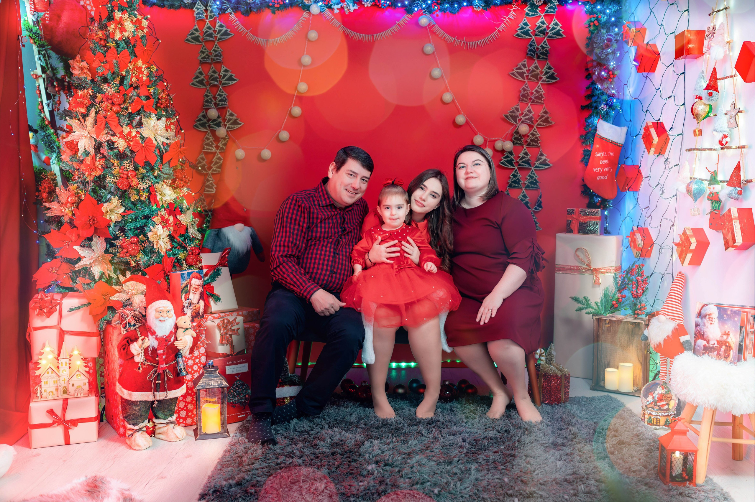 Sedinta Craciun Nicoleta