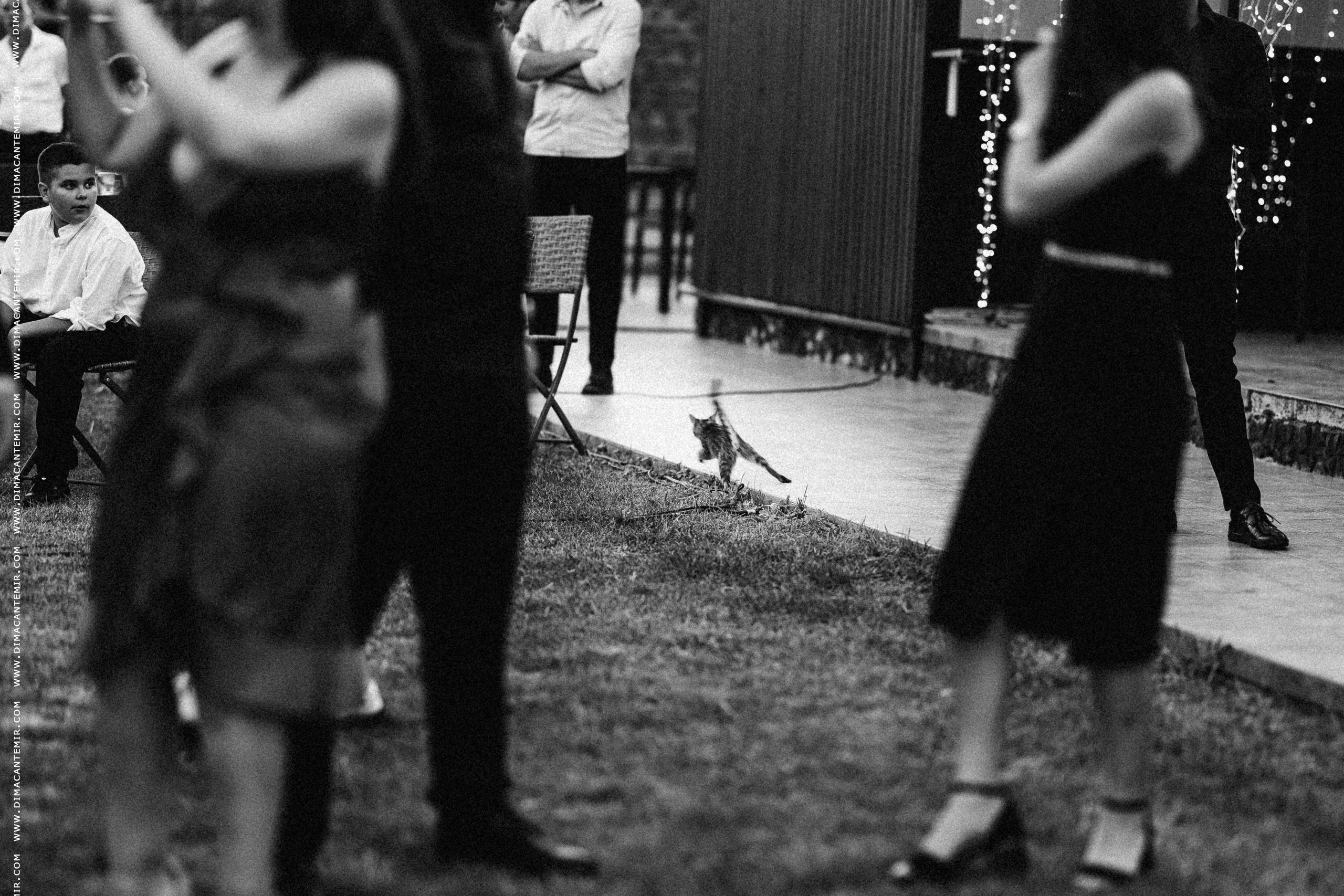 CRISTI + IRAIDA. Свадебный фотограф Молдова Кишинёв