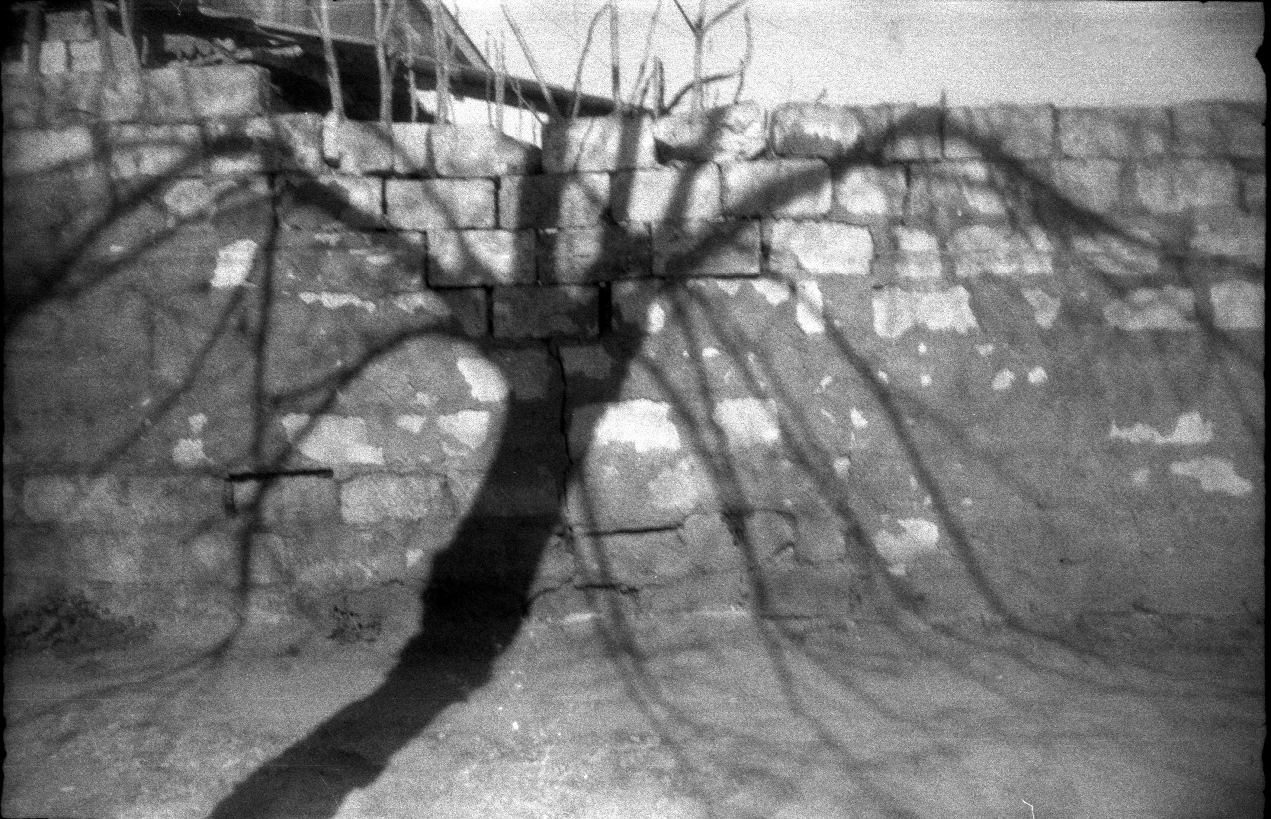 Silent light. Natalia Parfenova visual artist film photographer