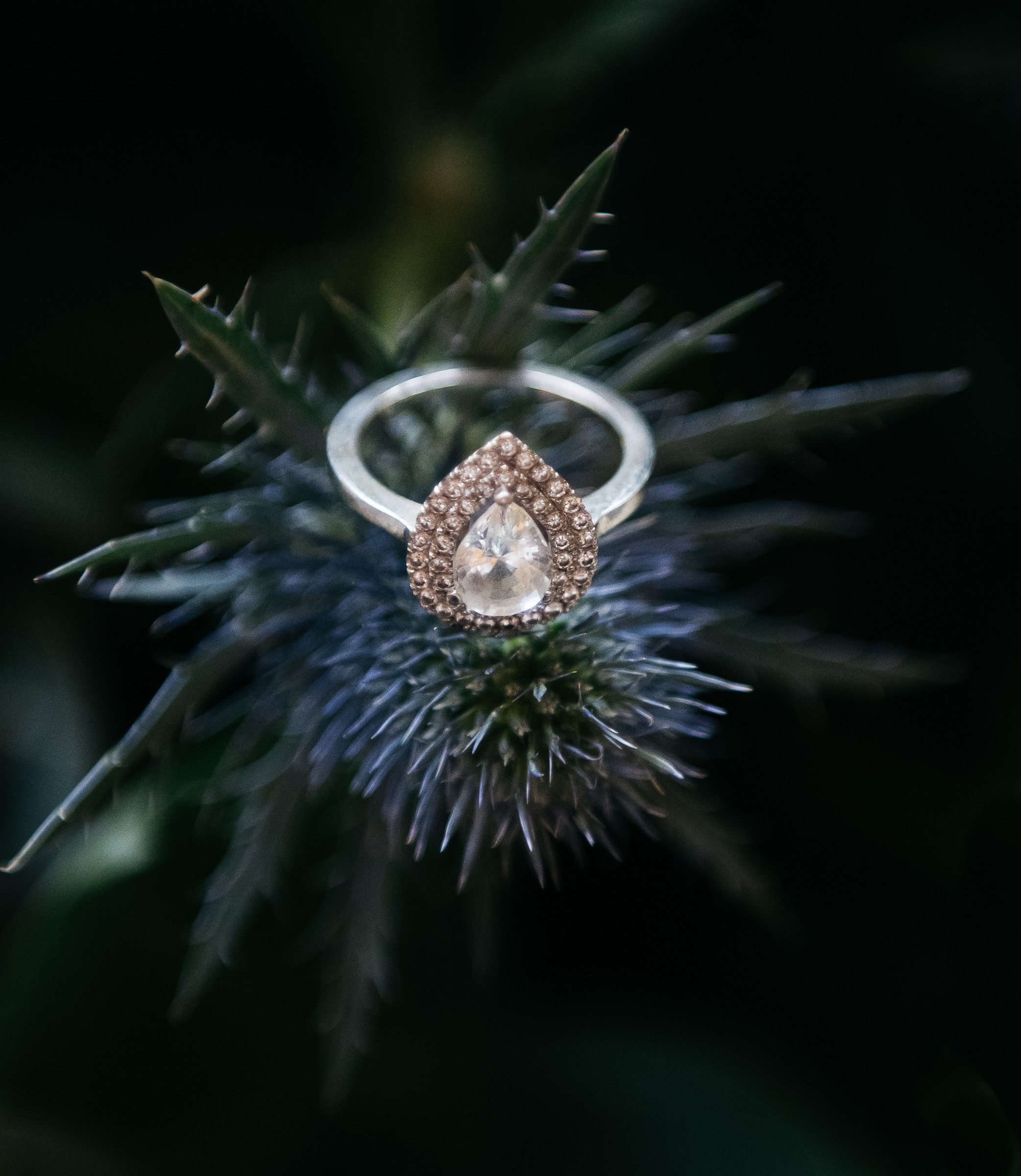 S & G, villa Wirnica. Lake Como Photographer — Proposal | Wedding | Elopement