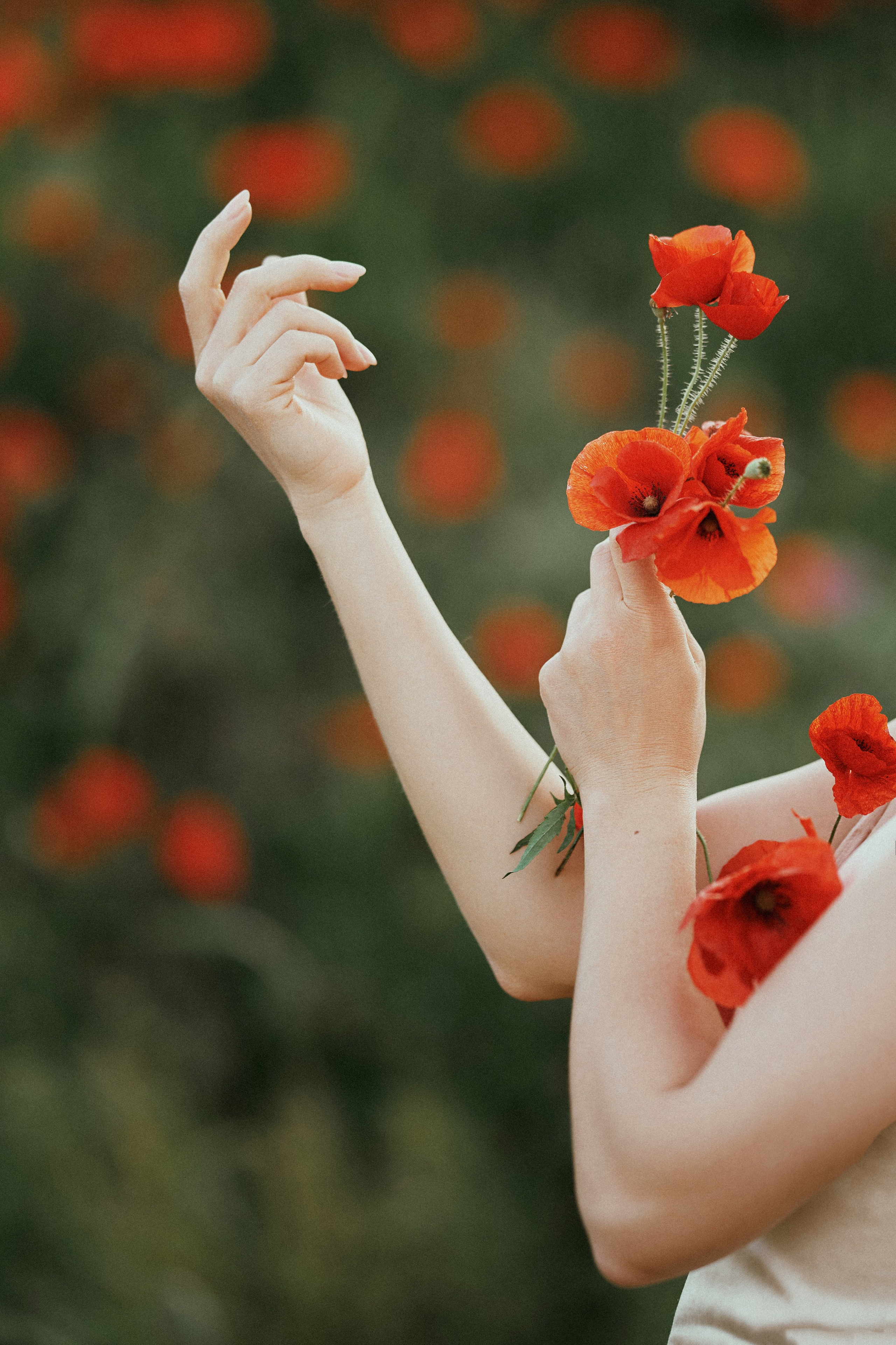 Марго. Маки. Фотограф в Барселоне Жанна Захарченко