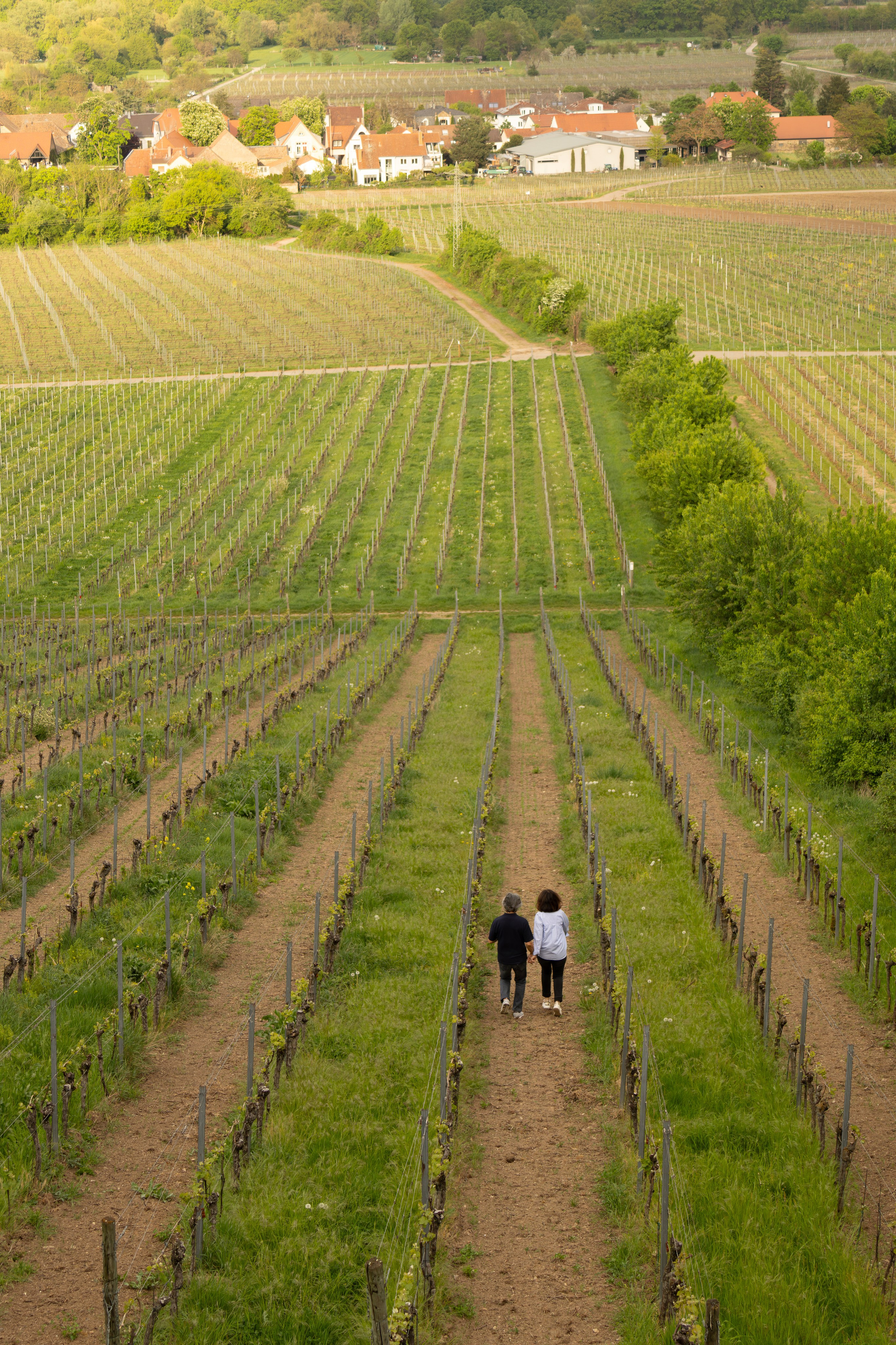 LidiiaFotoLab: Portrait, Event & Hochzeitsfotografin