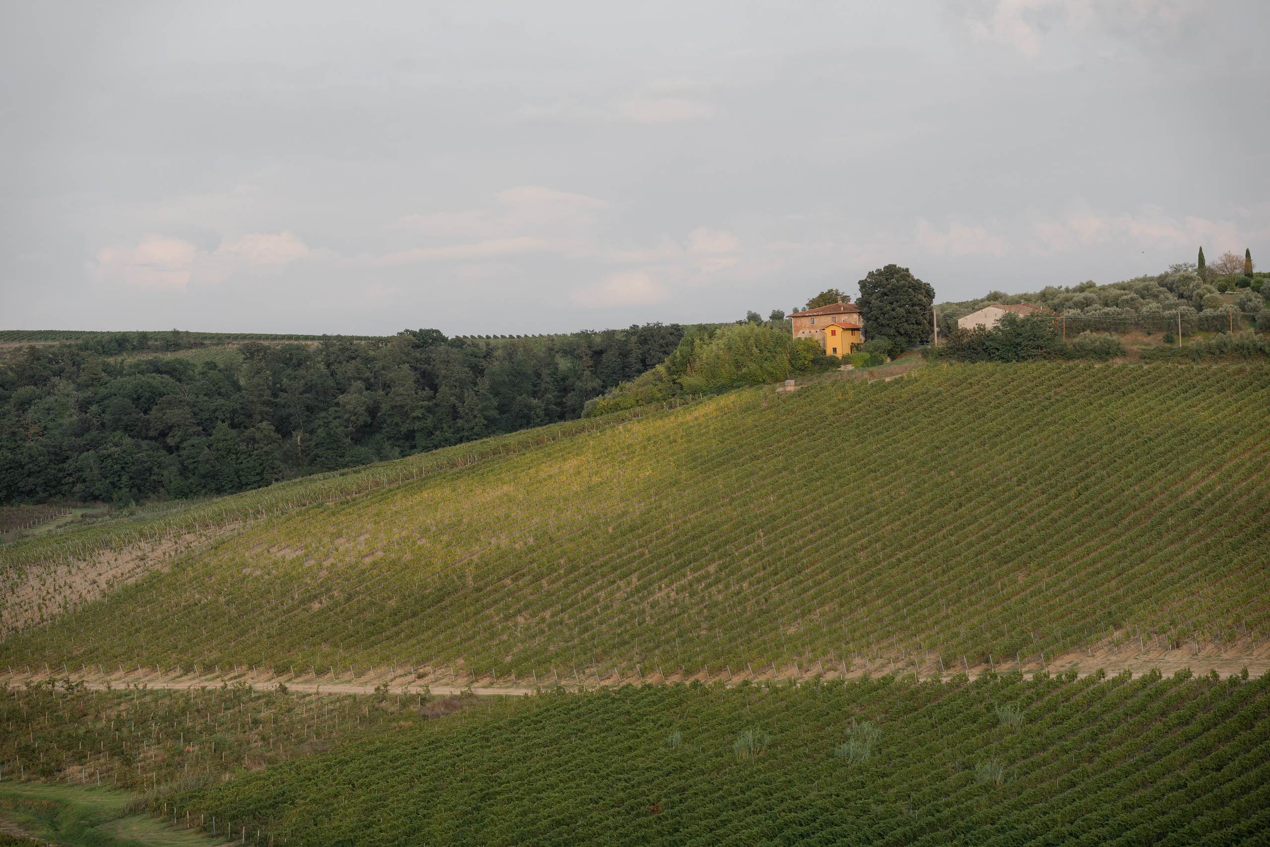 Dom&Ally. Wedding photographer Italy