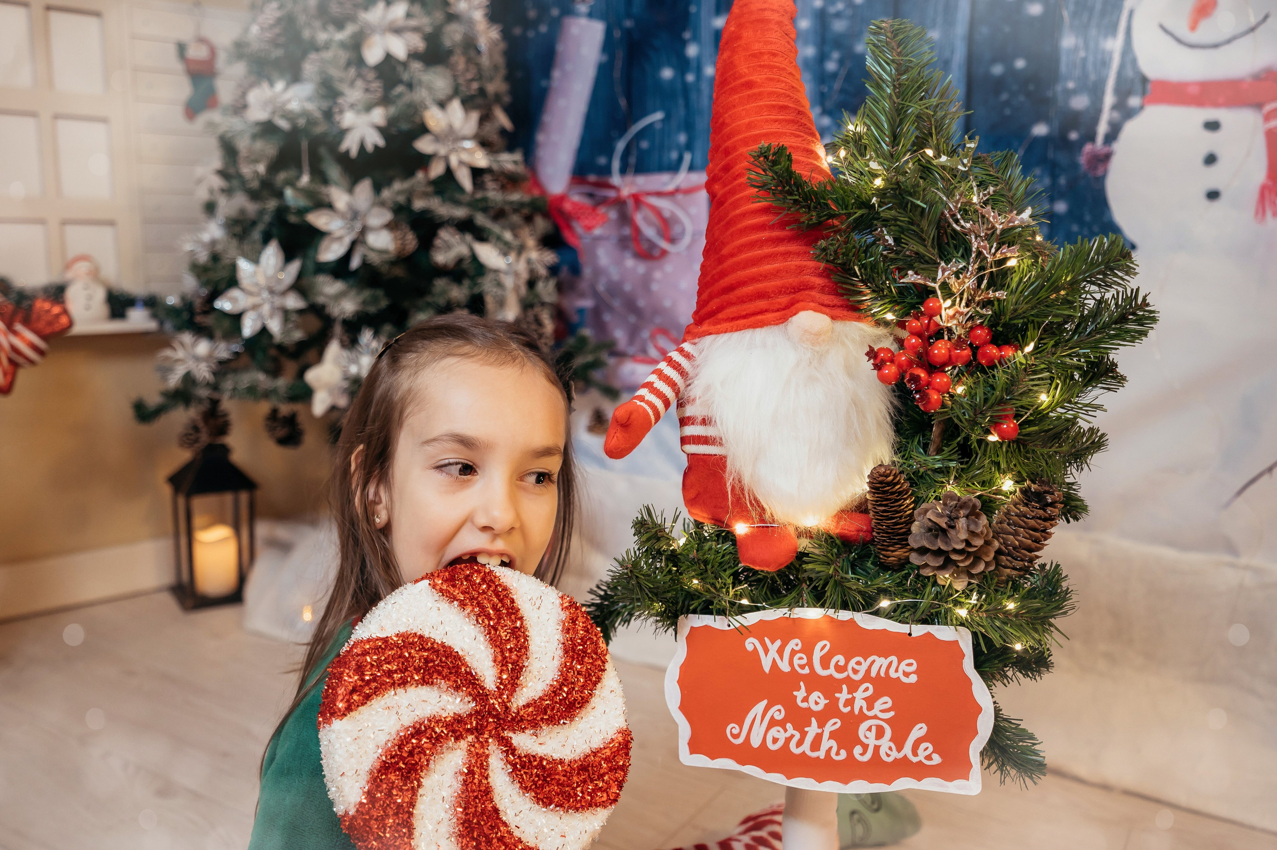 Sedinta Craciun Sofia