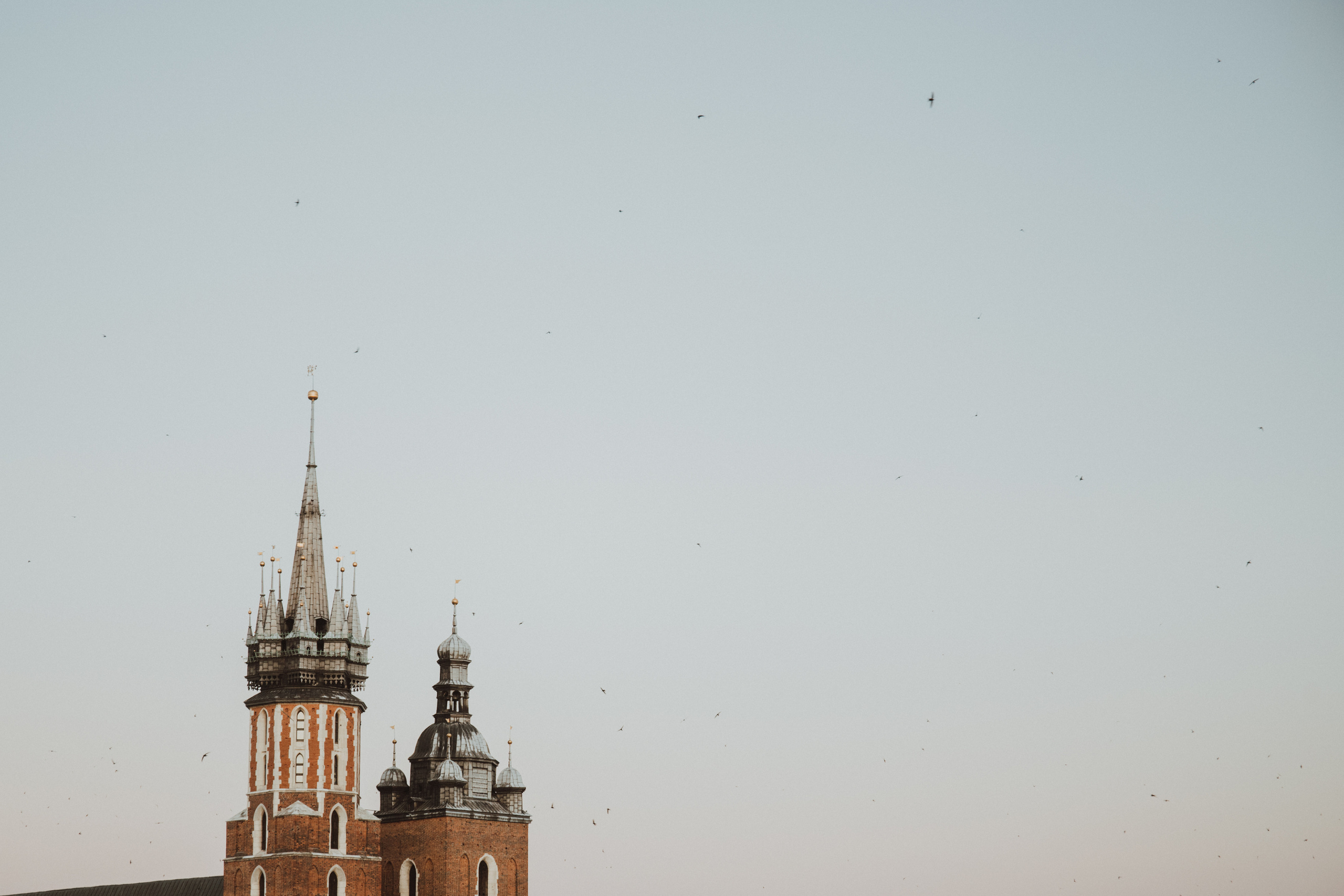 KAROLINA WITOLD. Fotograf Mykhalchuk Inna Kraków