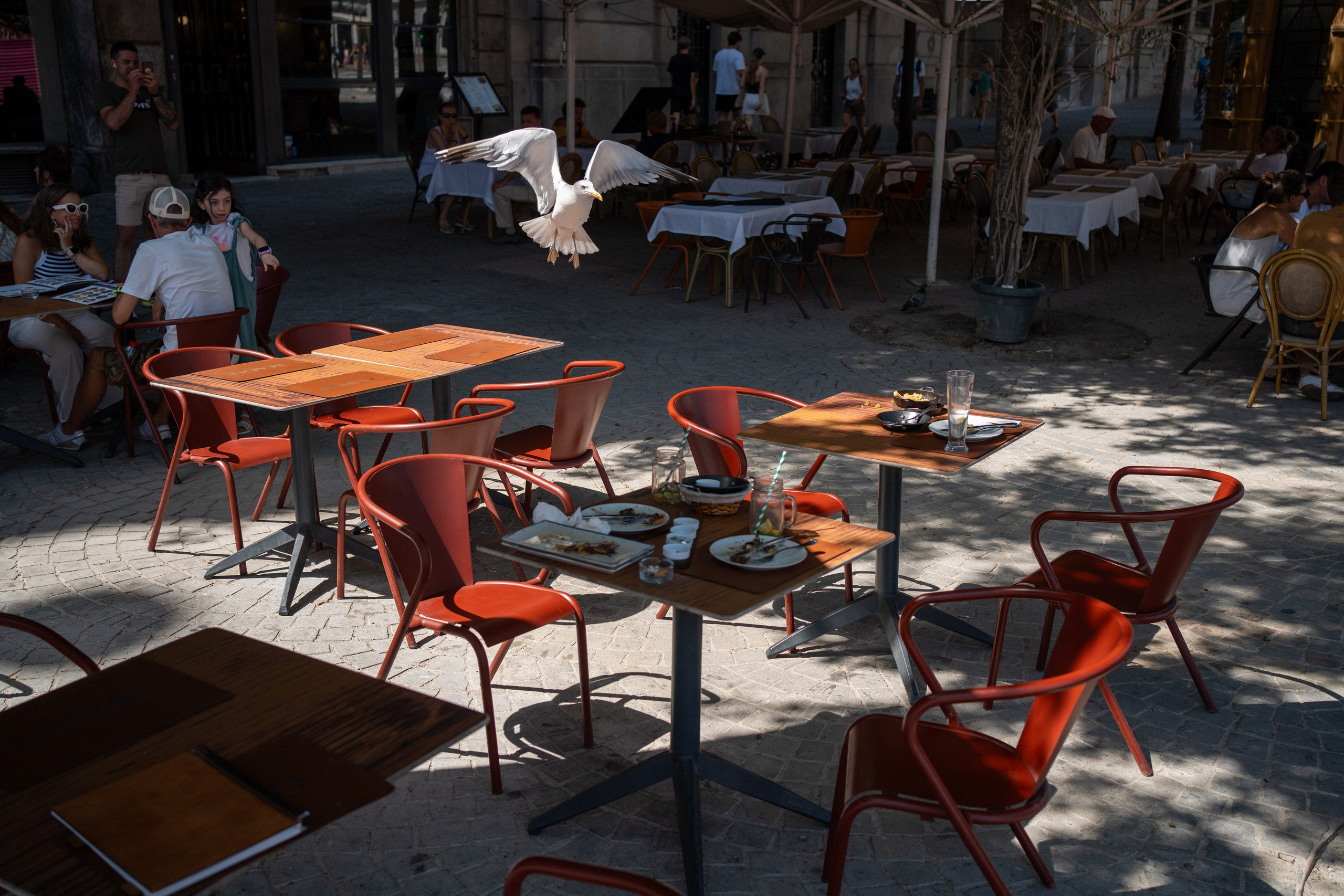 Street. Maria Sher. Professional photographer from Porto, Portugal