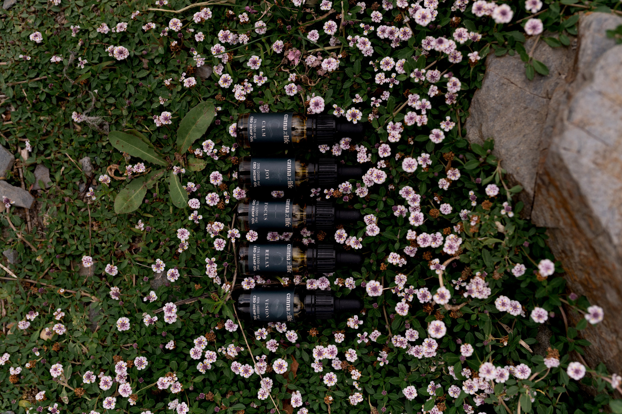 CannaXlife CBD products. ANNA-MARIA PHOTO CONTENT CREATOR — фотограф, естет, художник і візуальний експерт Instagram у Празі