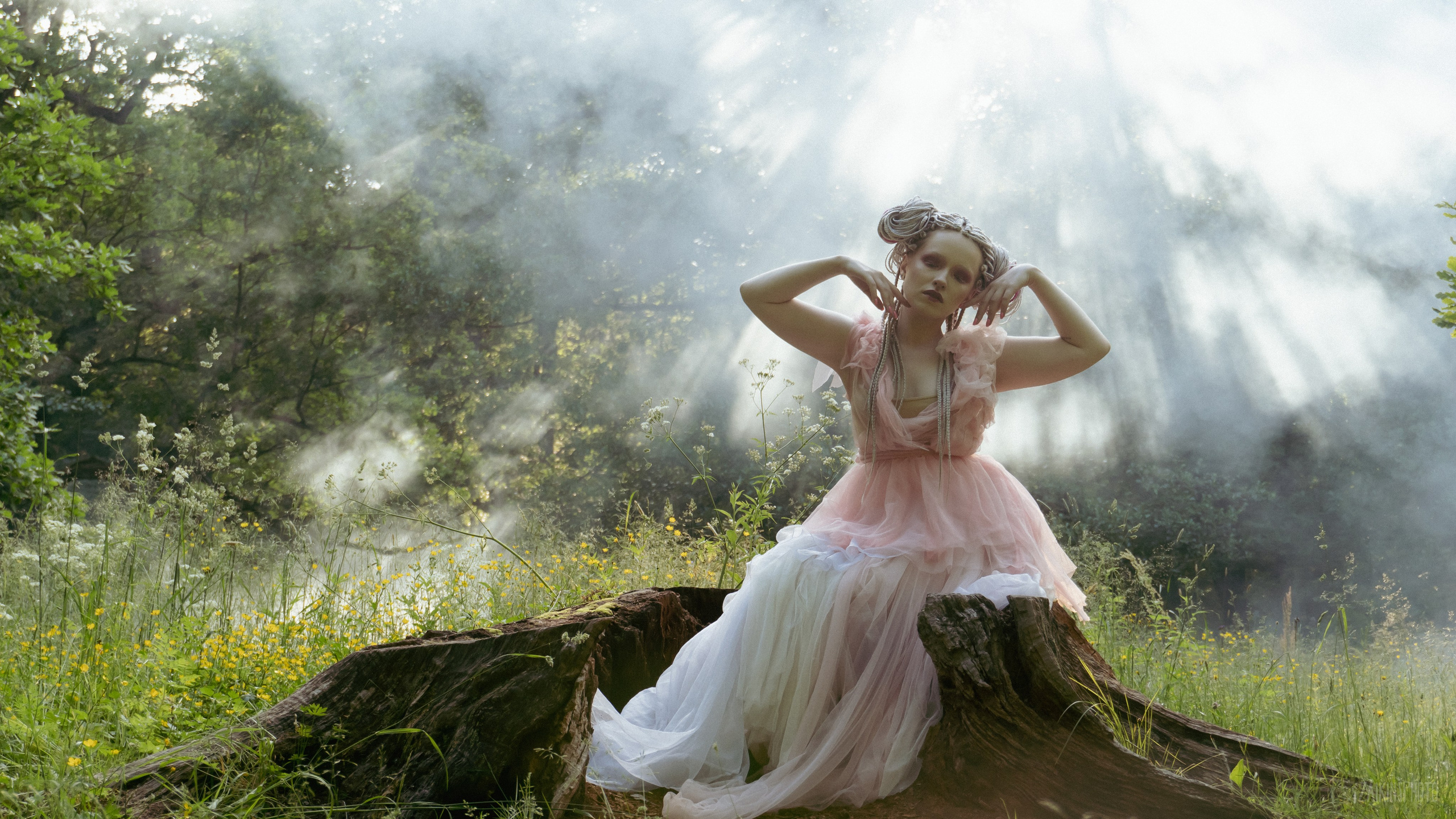 Alice In Wonderland. Main