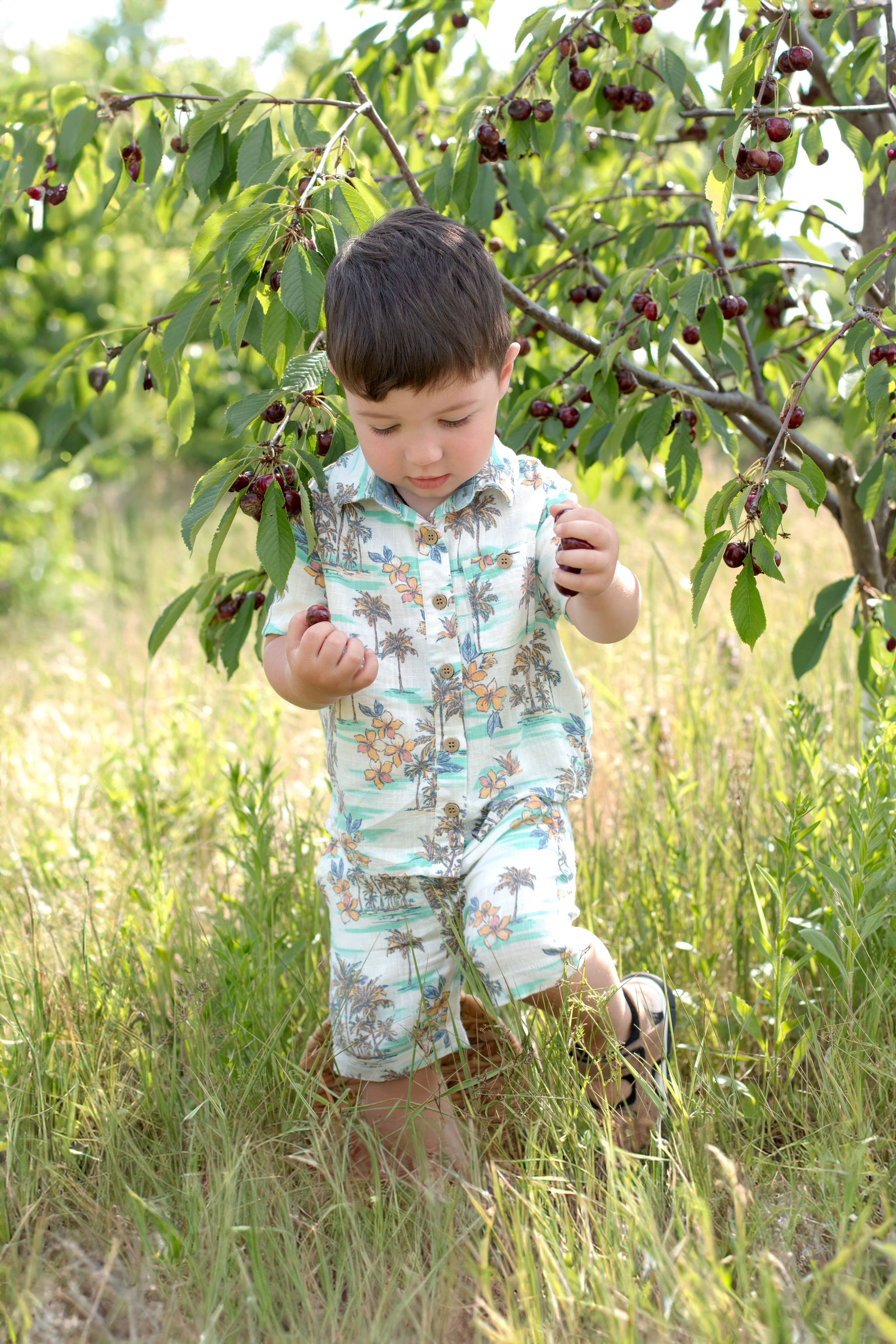 Черешня. Детский и семейный фотограф в г. Бельцы