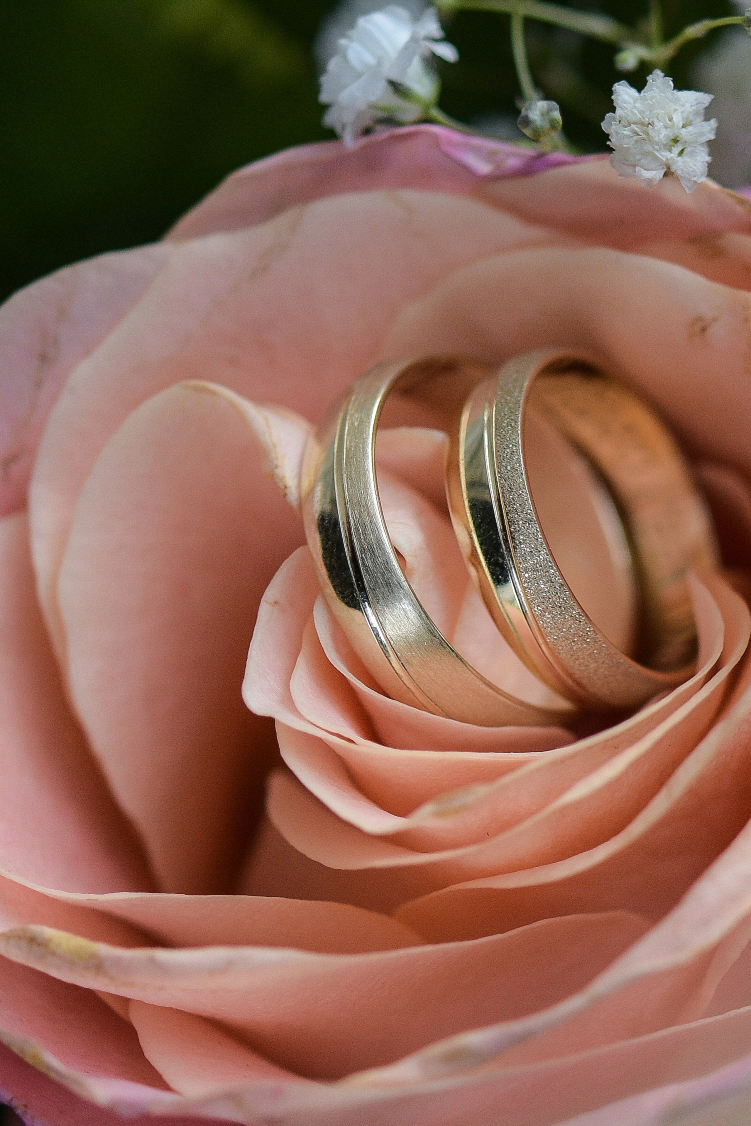 Fotograf Novi Sad Maja Vukelic Pavkov