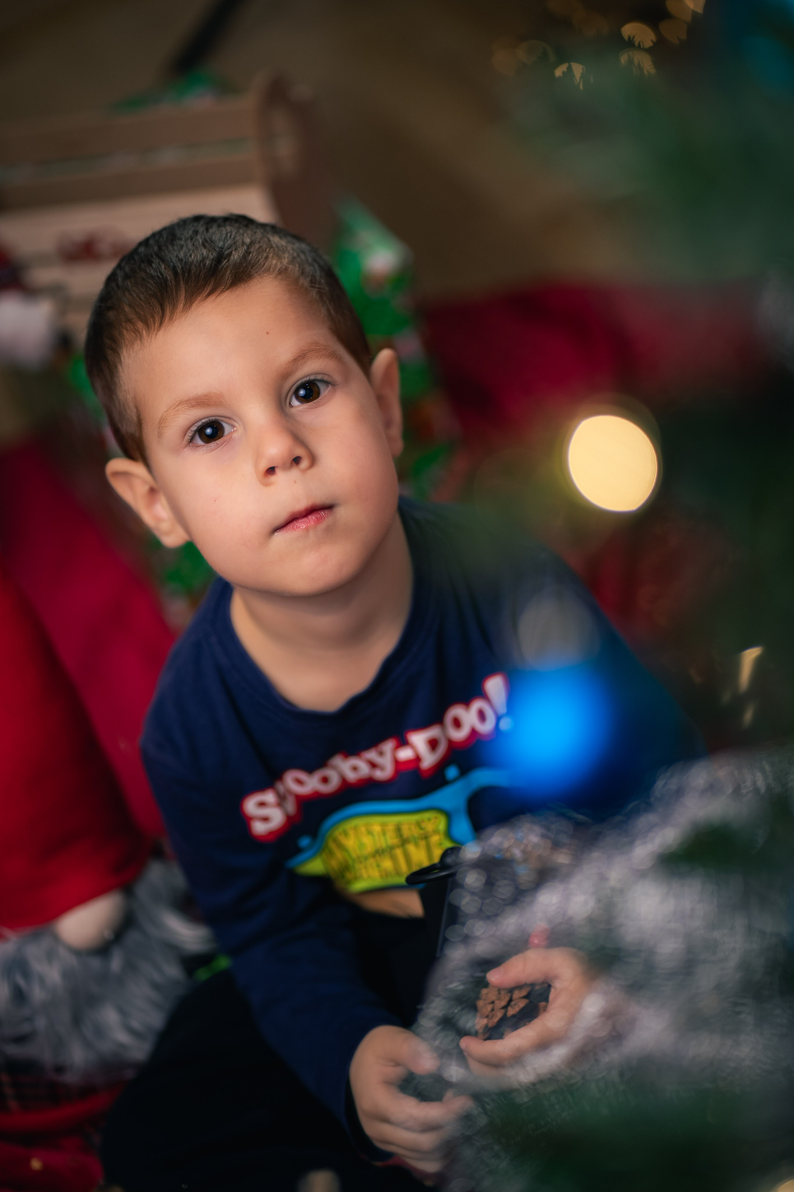 Sedinta foto Craciun — Gradinita Miniterra. Liviu Andrei - Fotograf