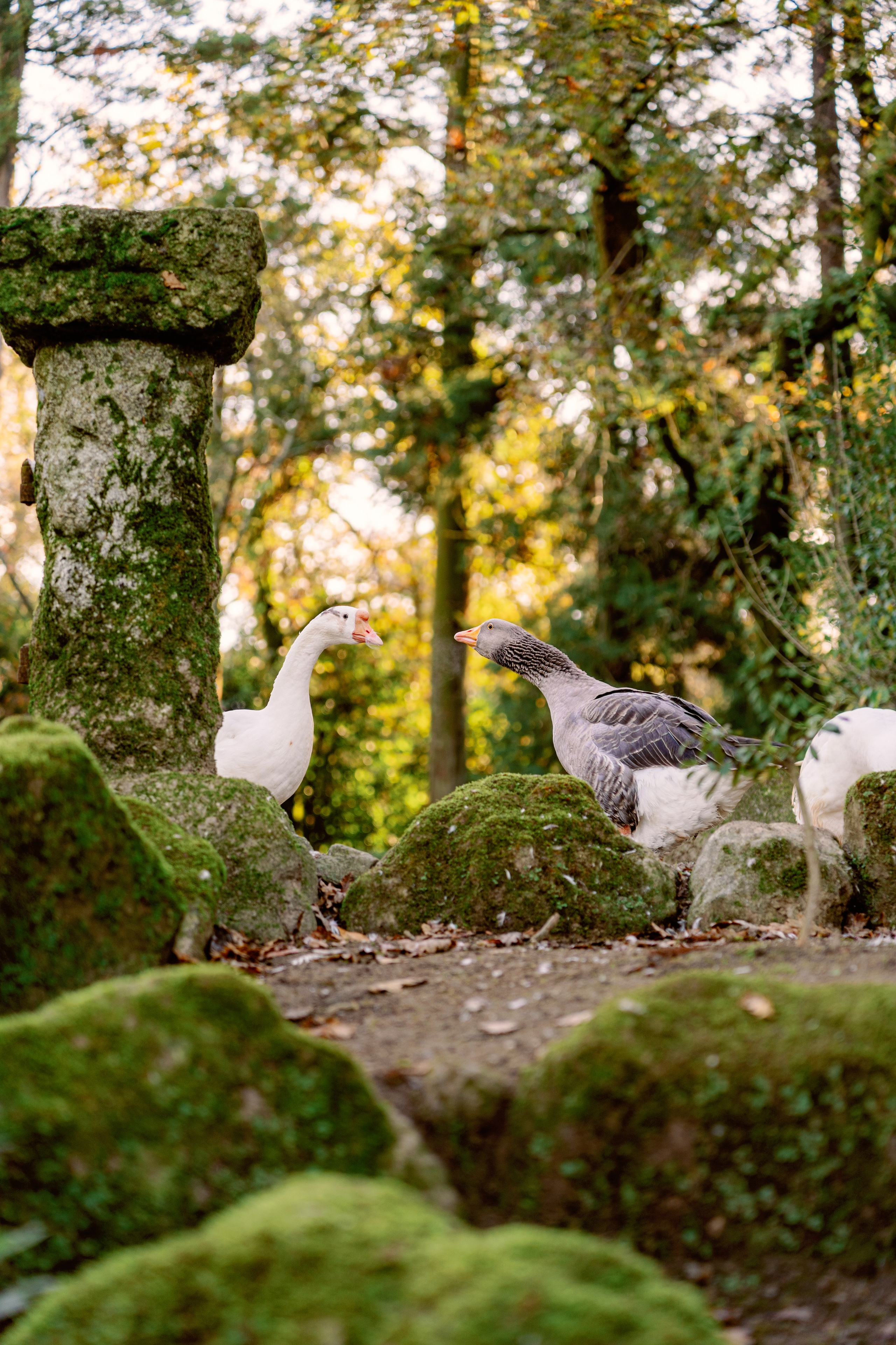 Винью Верде на ½ дня