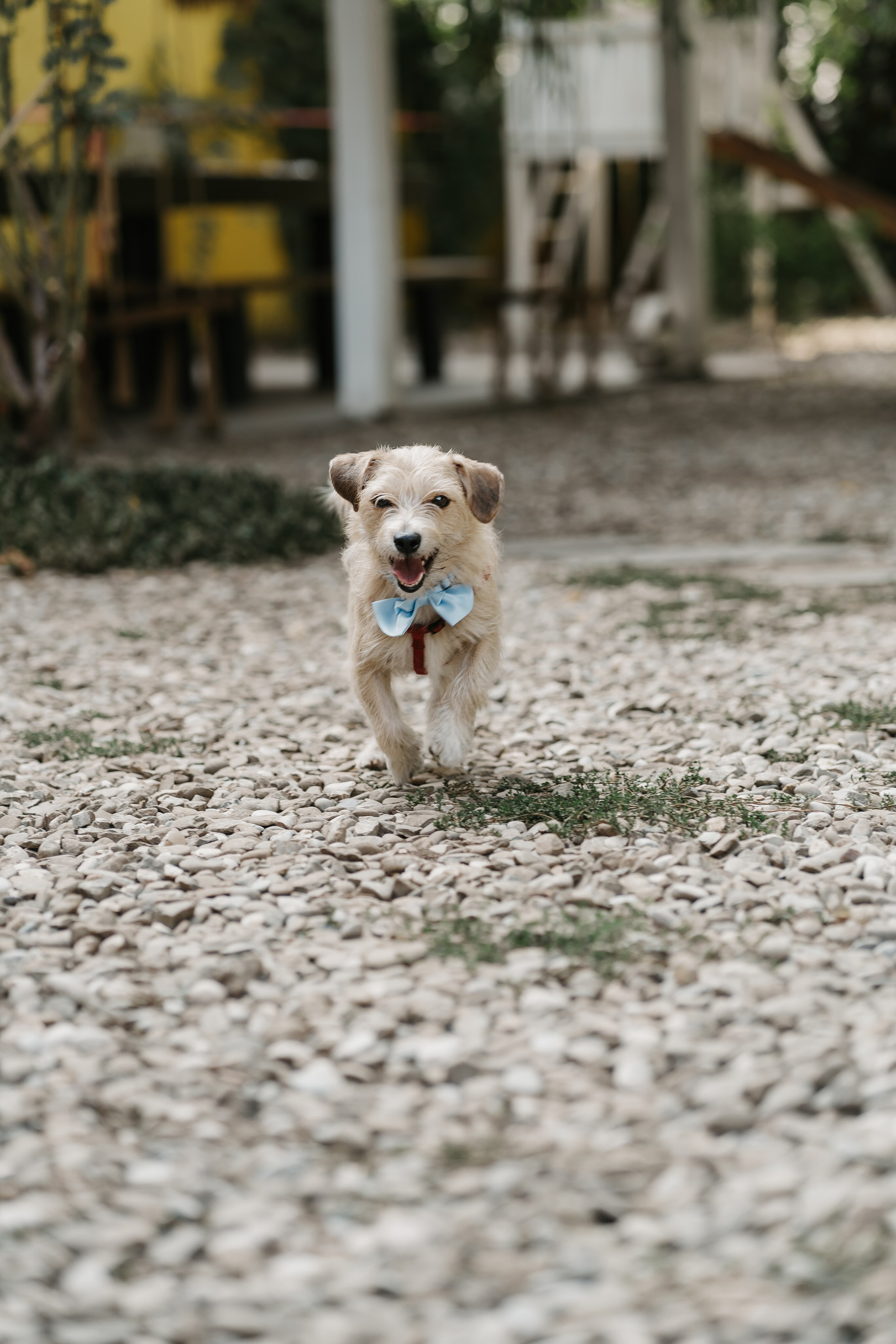 Simona & Andrei. Dara Lens | The art of remembering