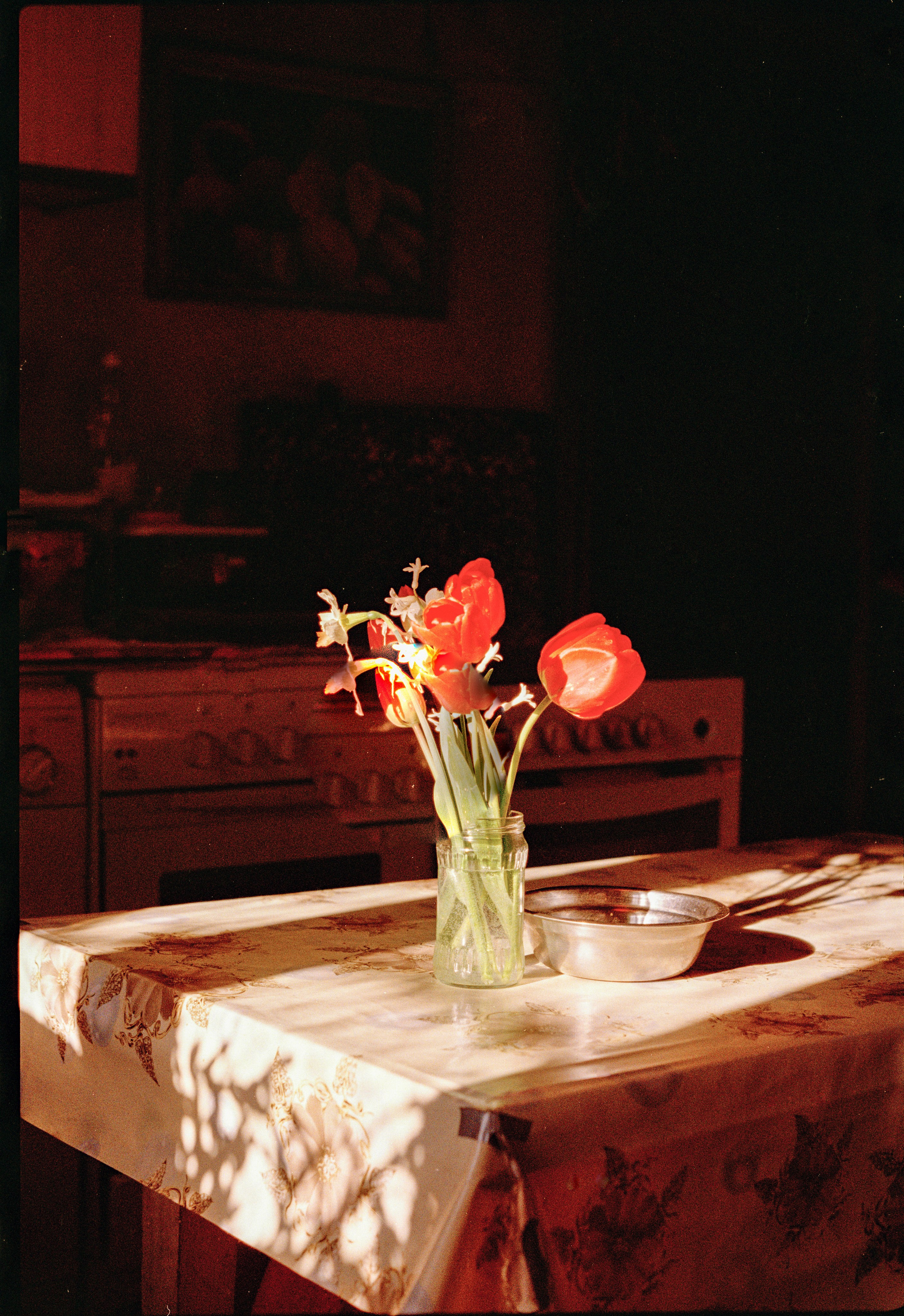 Still Home. Professional Photographer, Videographer in London Dilyana Tankova