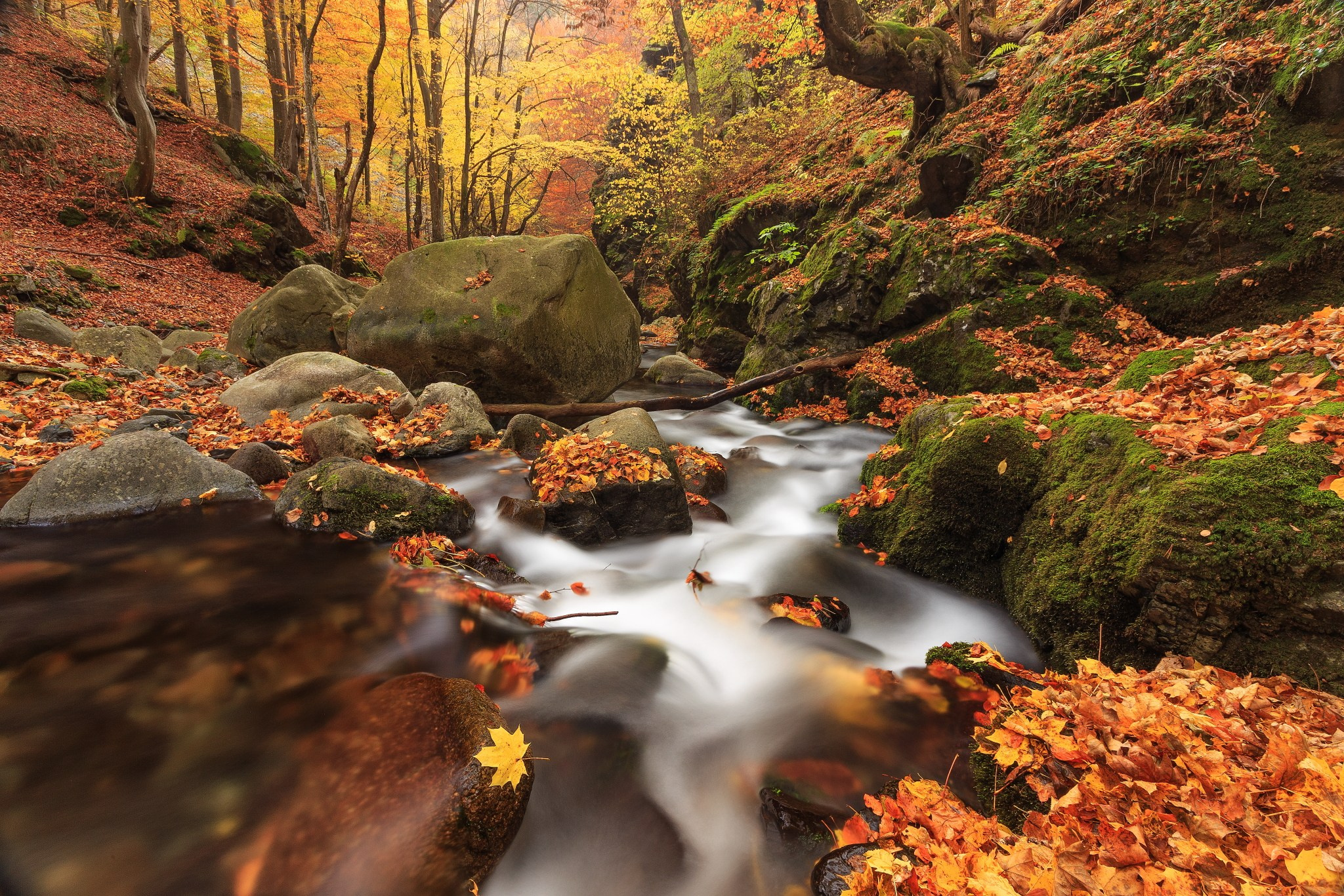 Планини. Александър Сандев - личен сайт на фотографа