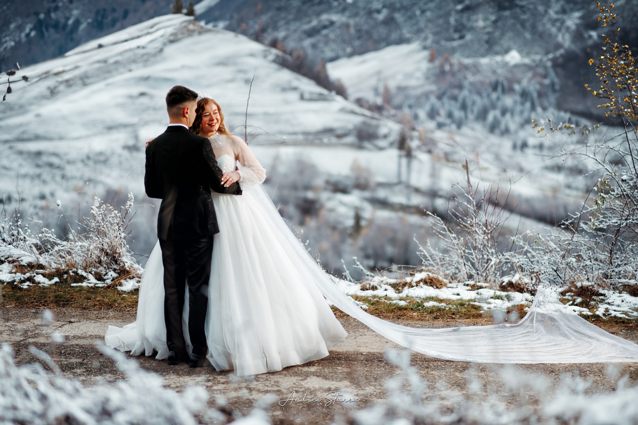 Dan & Daniela. Andrei Stanea