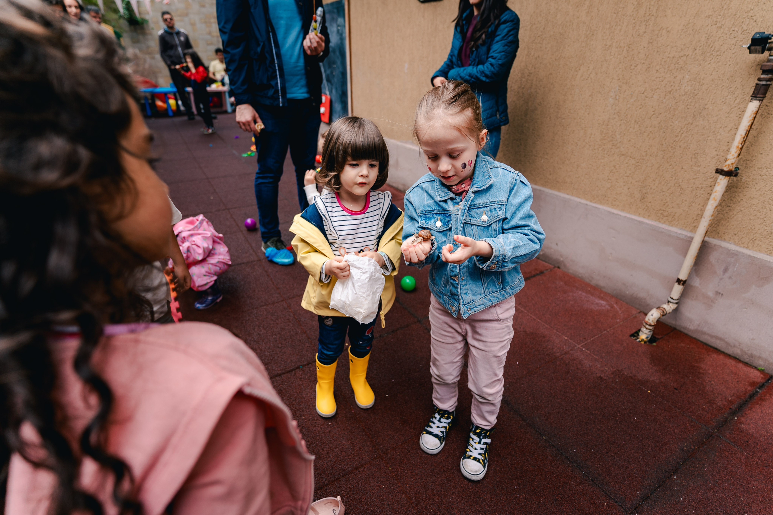 Miniterra Carusel. Liviu Andrei - Fotograf