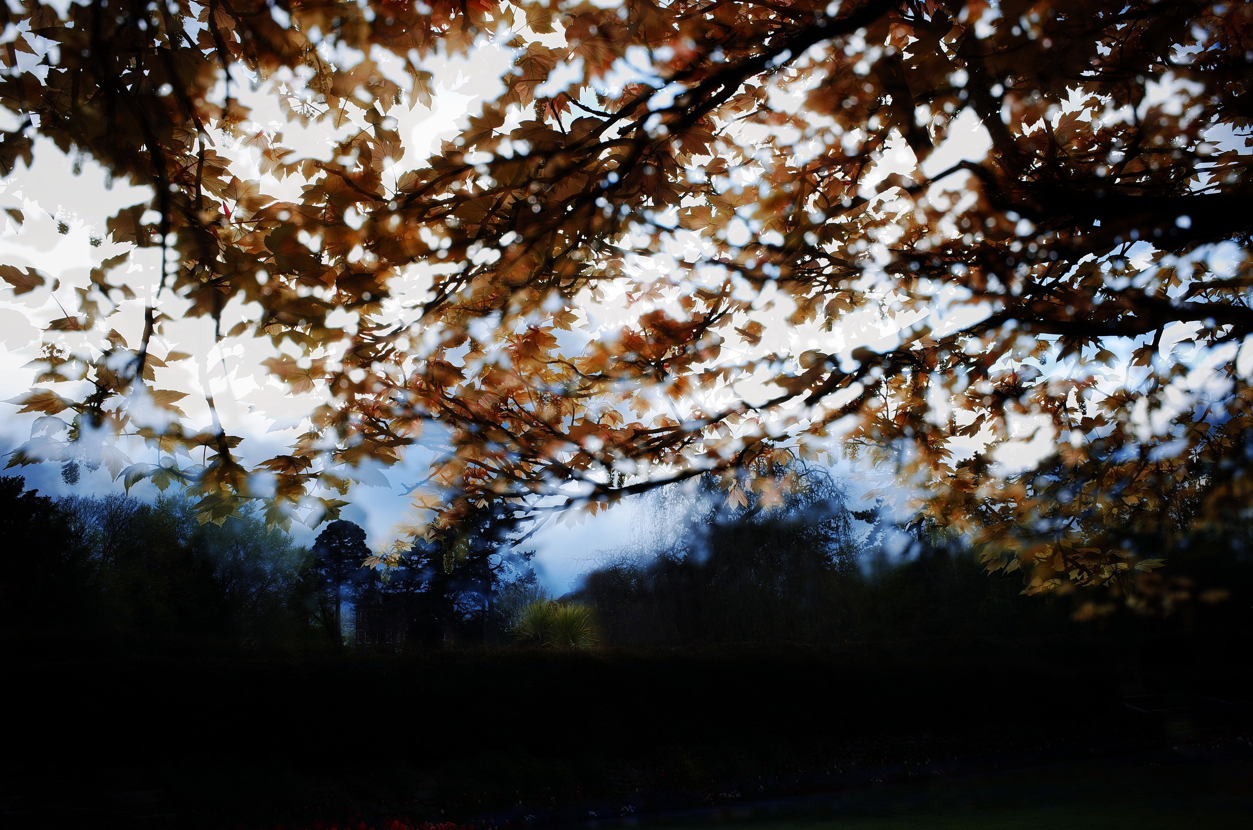 Kingsnorth in Gold. Victoria Dini. Art photography in London / Folkestone, UK