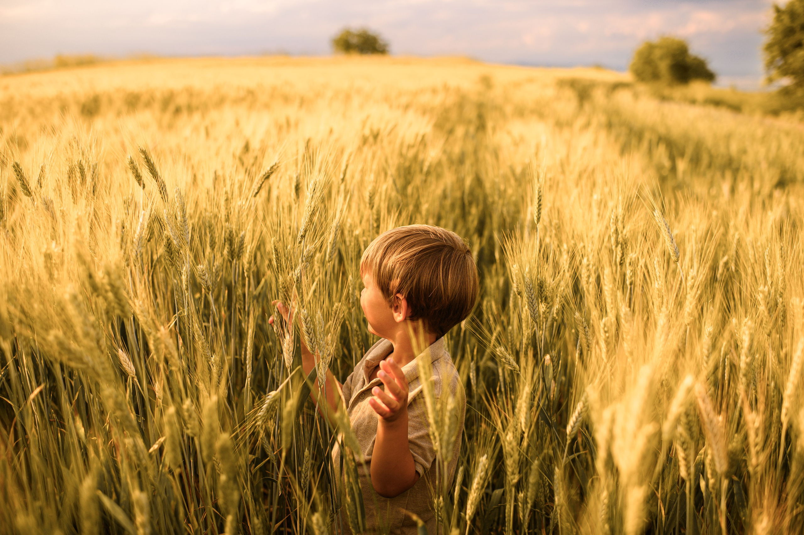 Wheat fields. Family, children, portrait, and event photography in Thessaloniki