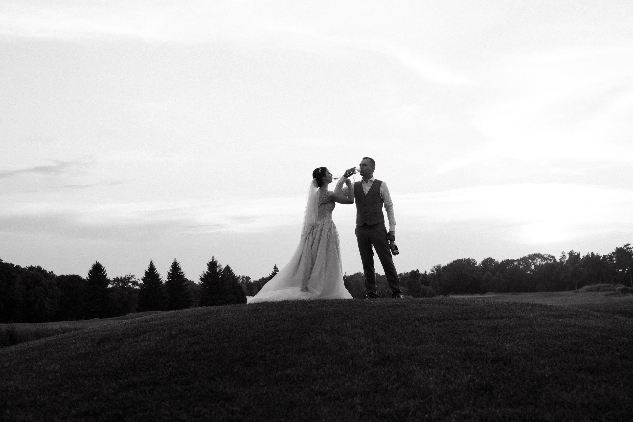 Alex & Anastasia. Wedding and Family Photograph