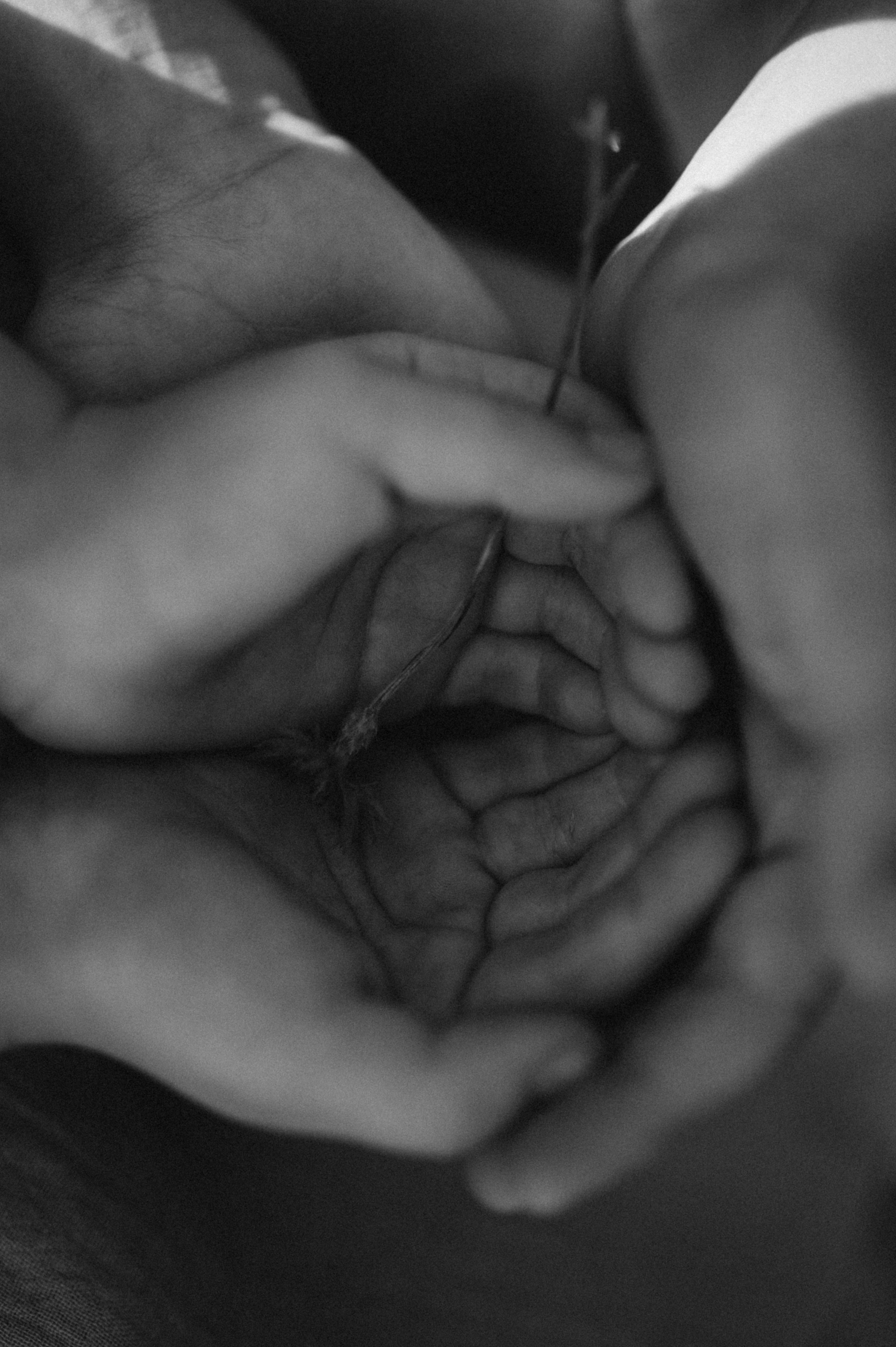 SO MUCH SUN. Photographer in Nuremberg Irina Mehnert from Ansbach