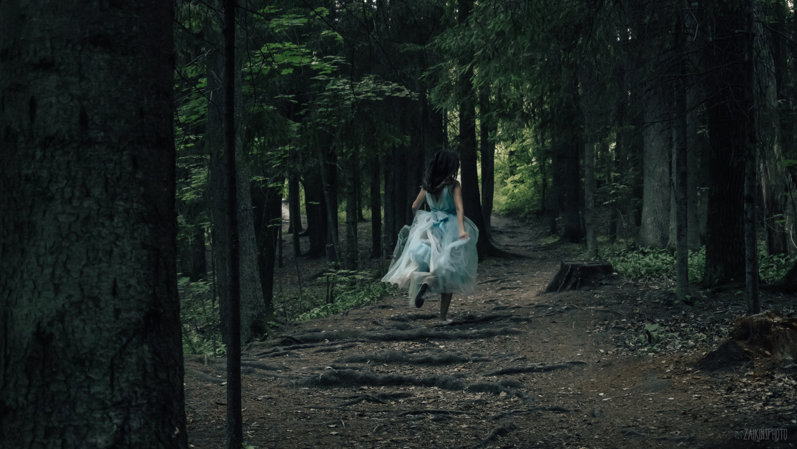 Alice In Wonderland. Main