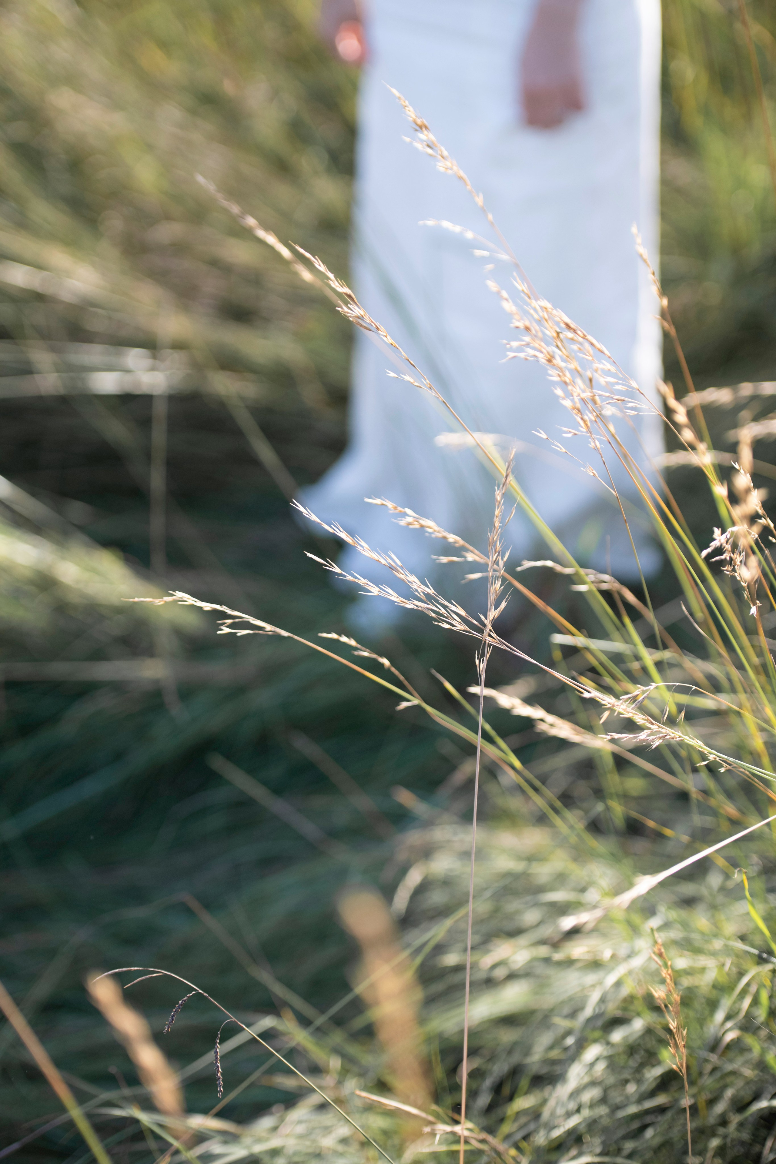 Portfolio. Photographe Mykhaylyk Vladyslav