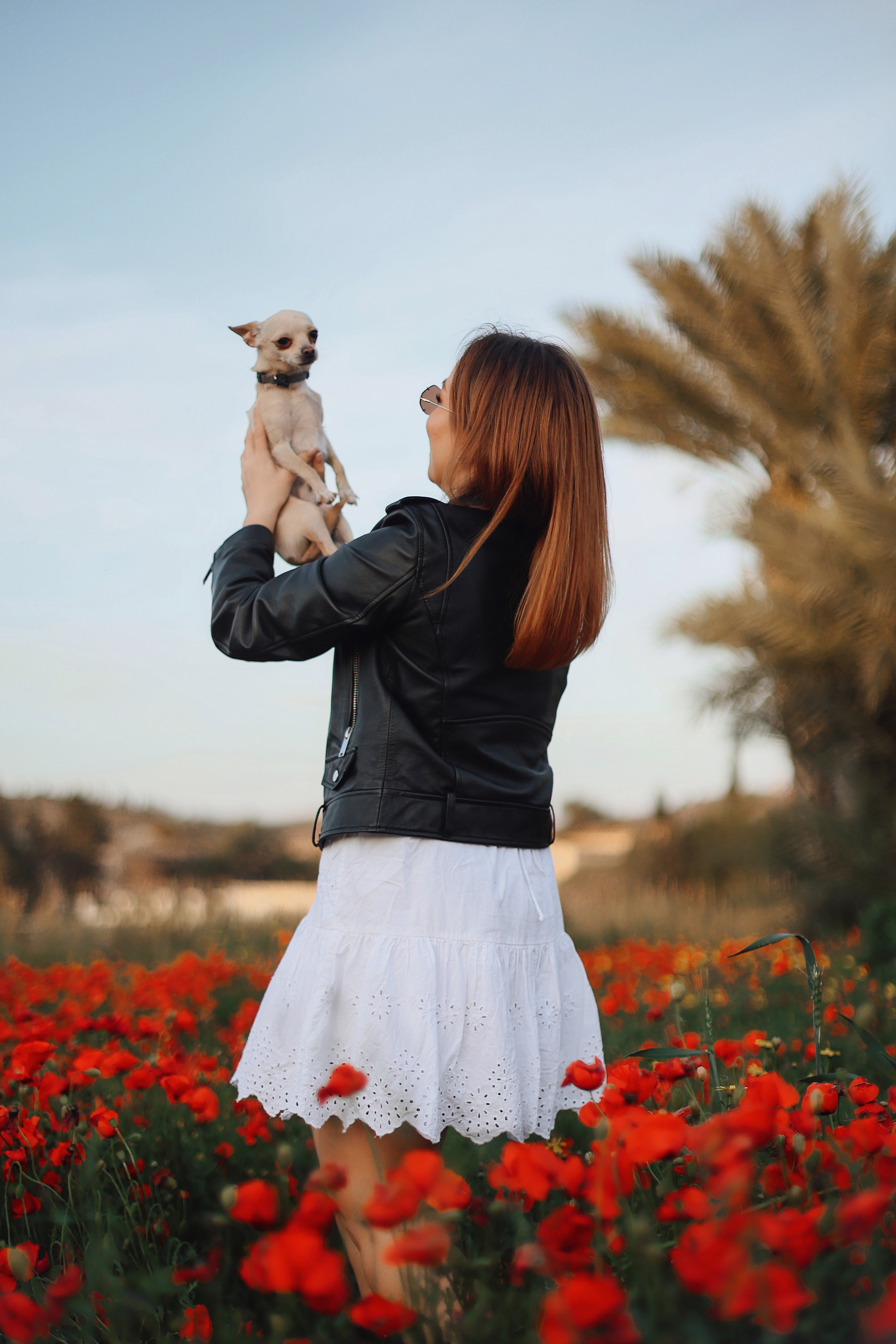 Фотосессия в маках. Апрель, 2023,. Kipriotka. Ваш фотограф на Кипре (Айя-Напа, Протарас)