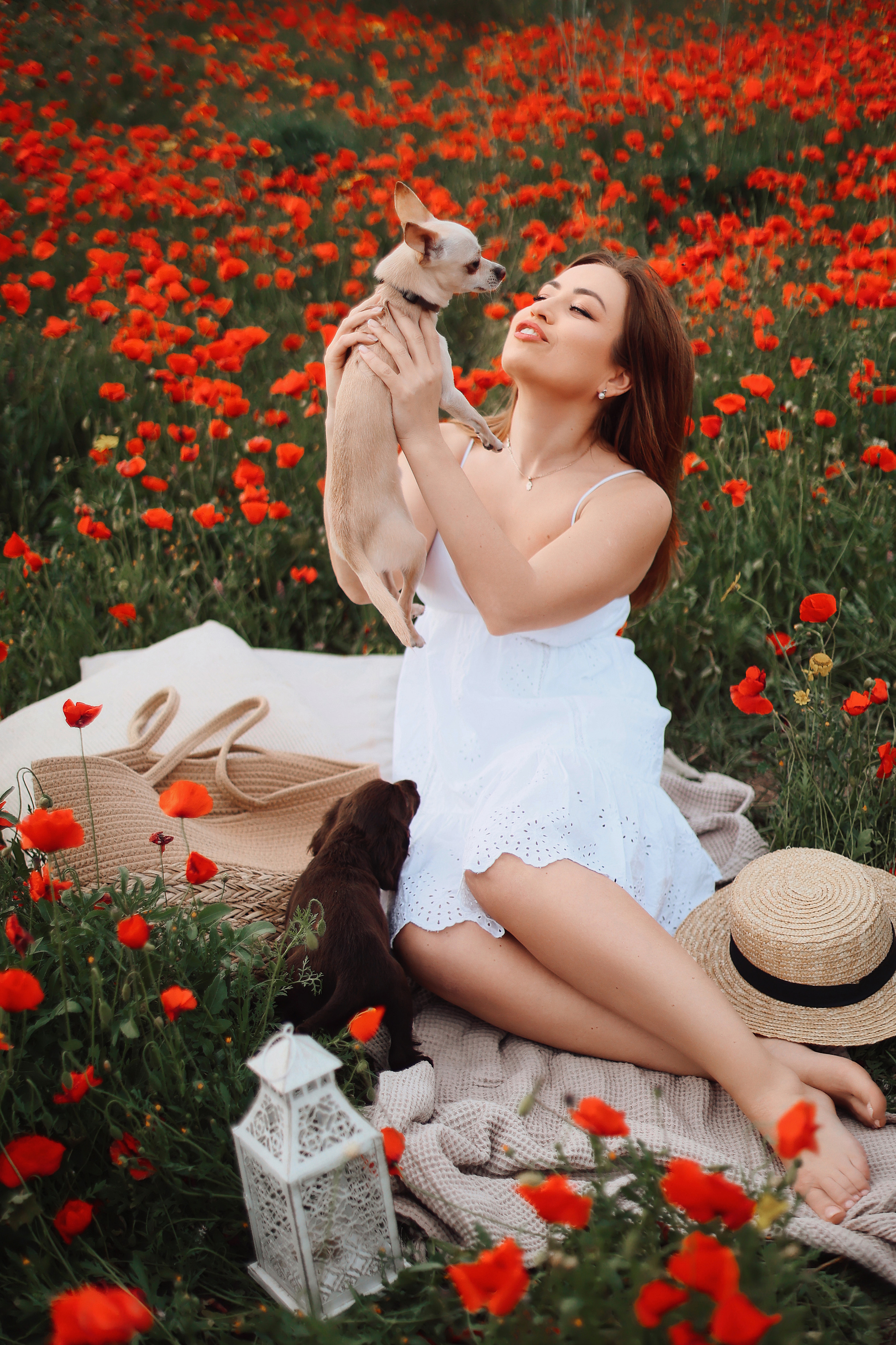 Фотосессия в маках. Апрель, 2023,. Kipriotka. Ваш фотограф на Кипре (Айя-Напа, Протарас)