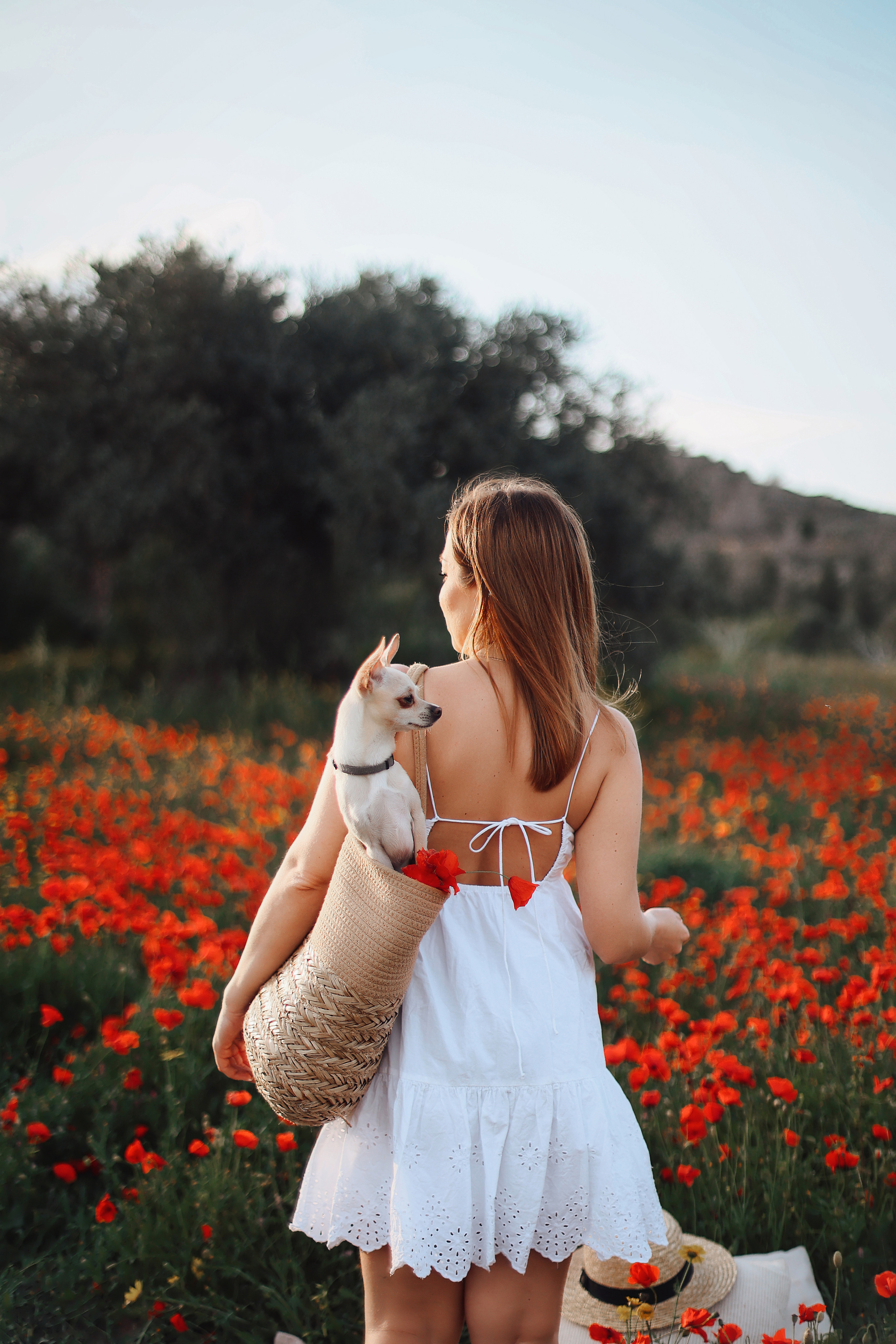 Фотосессия в маках. Апрель, 2023,. Kipriotka. Ваш фотограф на Кипре (Айя-Напа, Протарас)