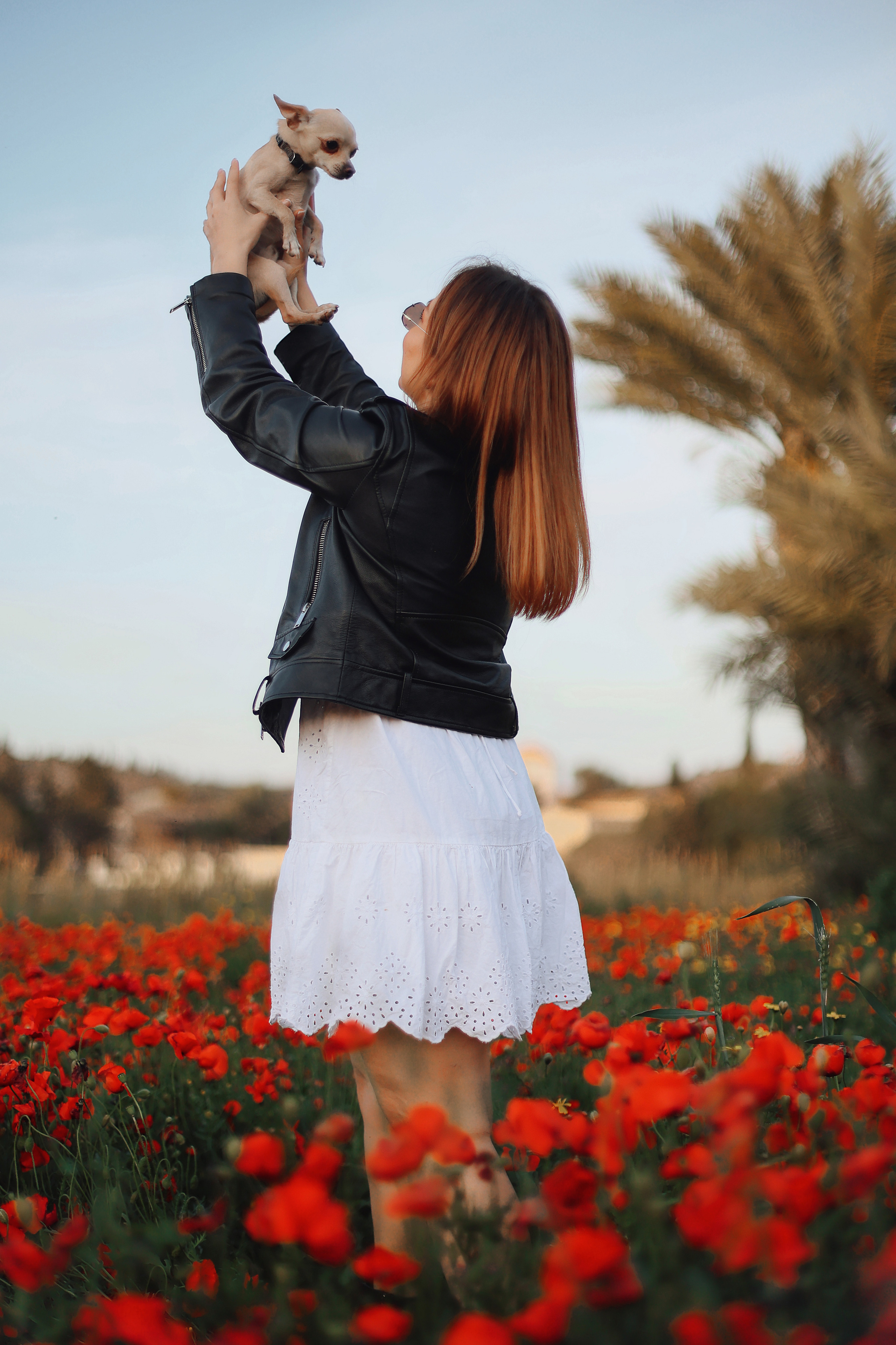 Фотосессия в маках. Апрель, 2023,. Kipriotka. Ваш фотограф на Кипре (Айя-Напа, Протарас)