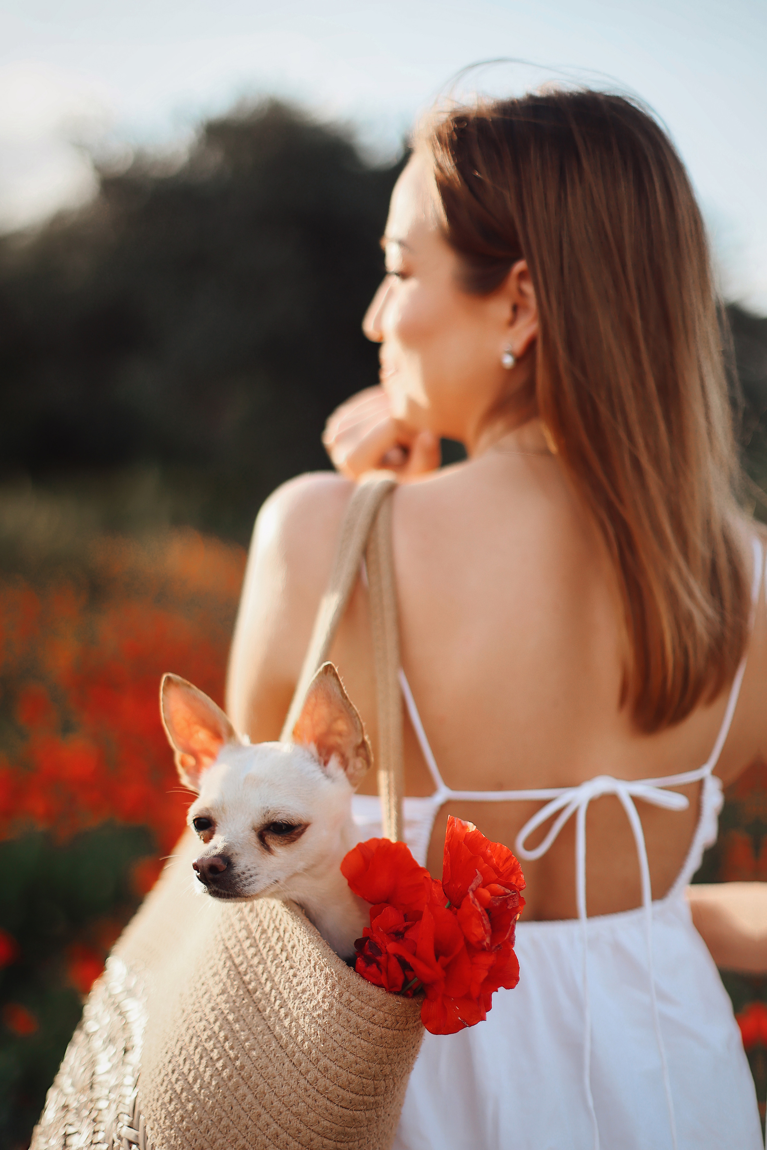 Фотосессия в маках. Апрель, 2023,. Kipriotka. Ваш фотограф на Кипре (Айя-Напа, Протарас)