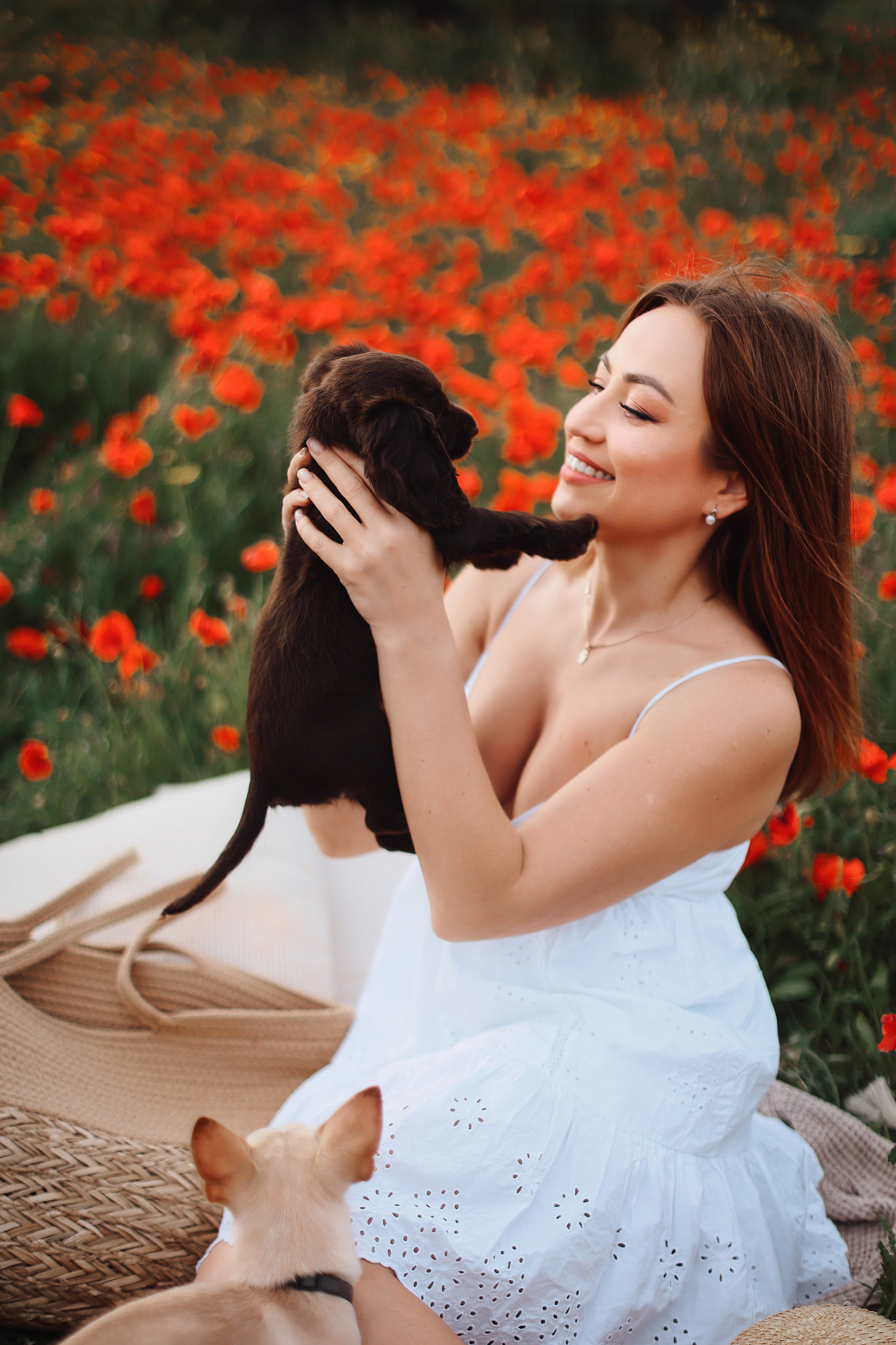 Фотосессия в маках. Апрель, 2023,. Kipriotka. Ваш фотограф на Кипре (Айя-Напа, Протарас)