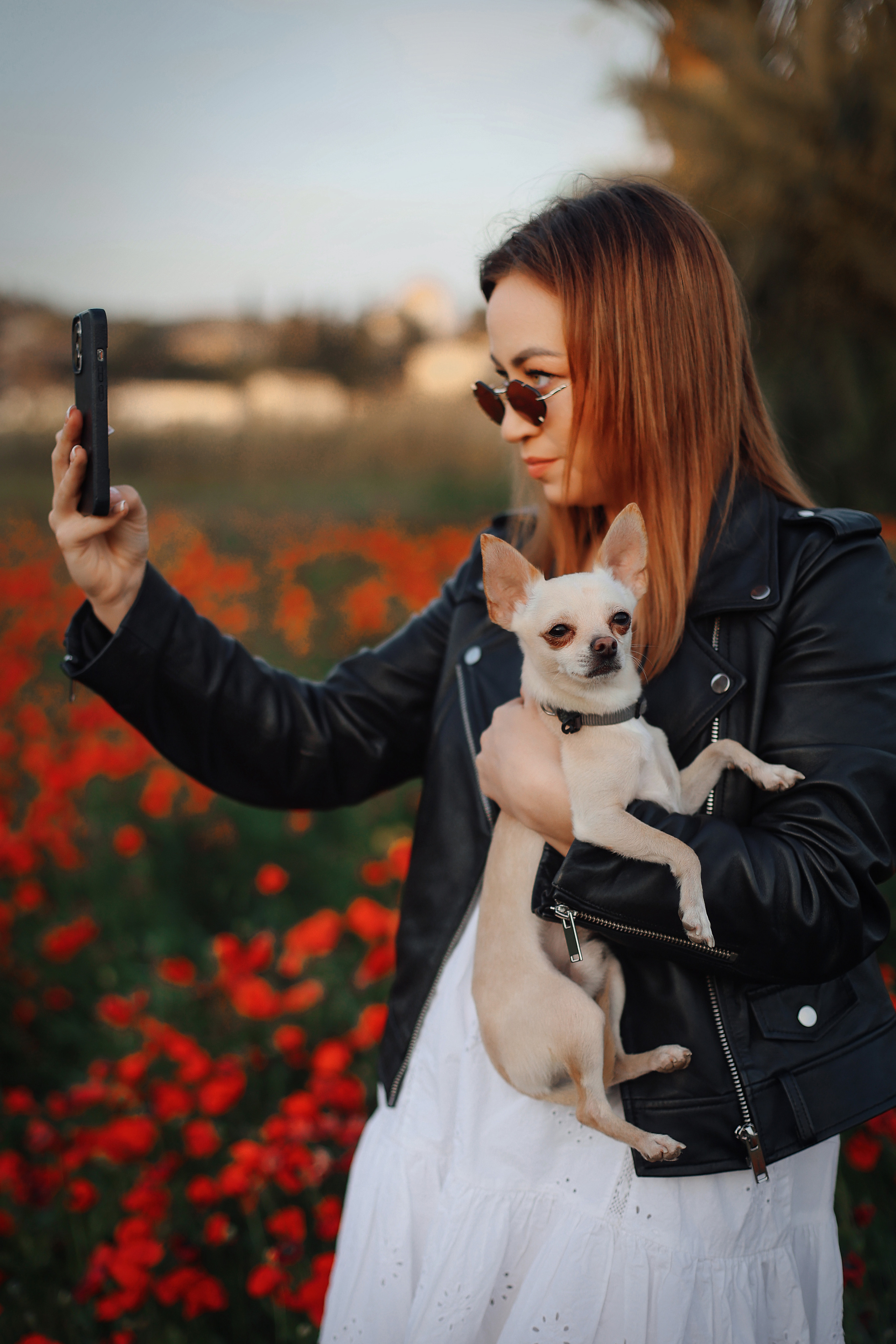 Фотосессия в маках. Апрель, 2023,. Kipriotka. Ваш фотограф на Кипре (Айя-Напа, Протарас)