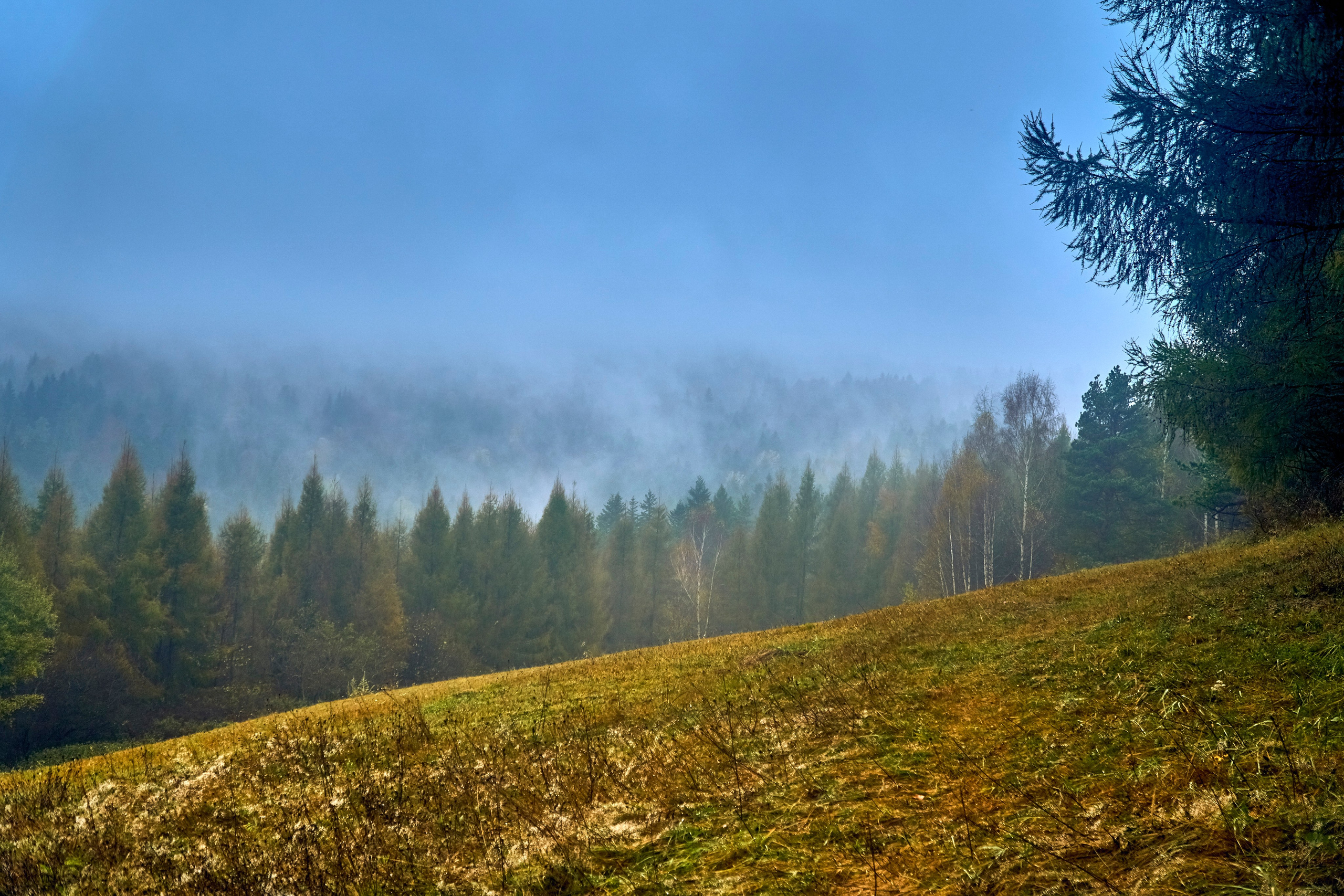 Bieszczady - tu zatrzymuje się czas. Andriej Szypilow - Fotografia & Wideografia