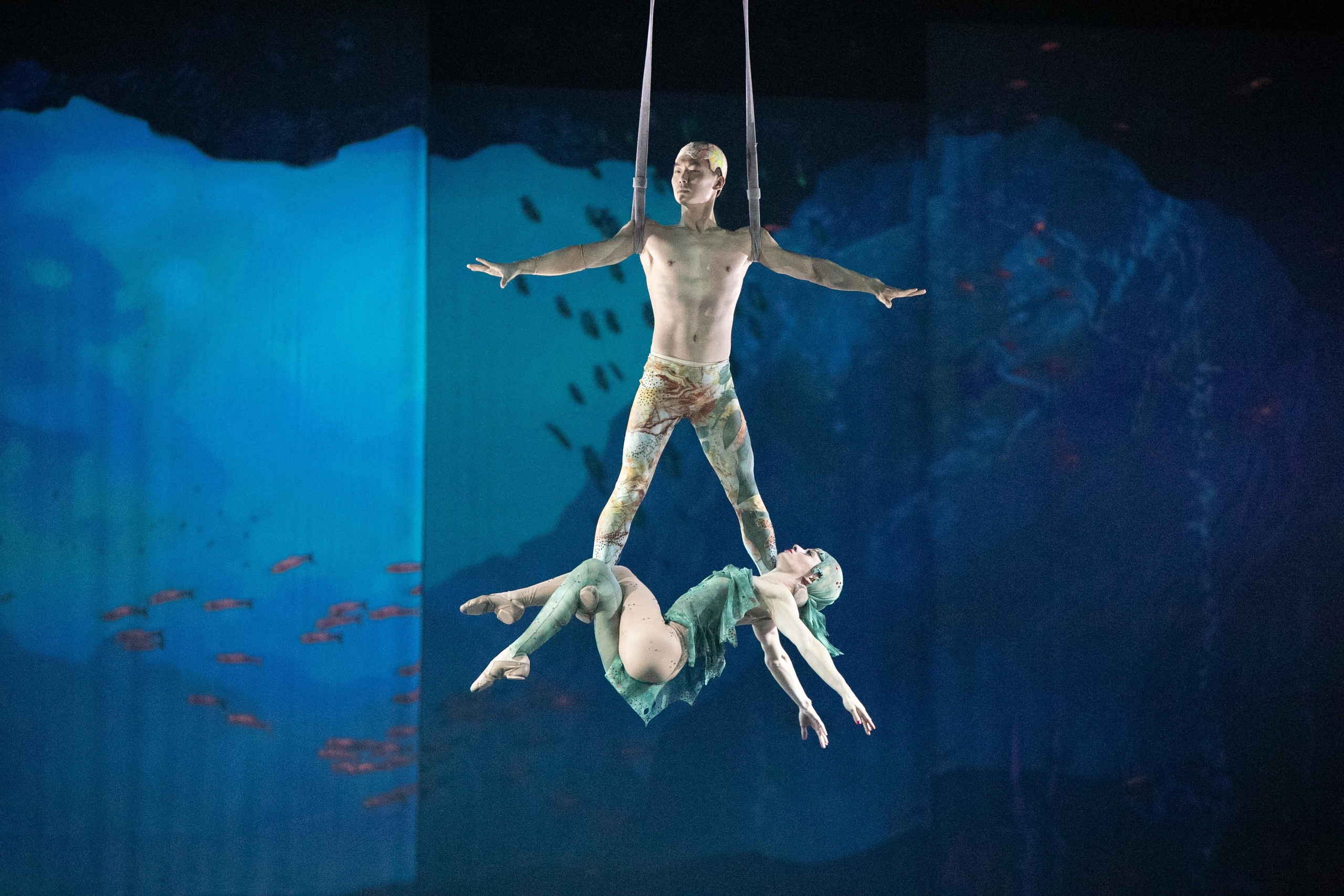 Foto-Dienstleistungen. Fotograf in Freiburg, Meerim Kaufmann