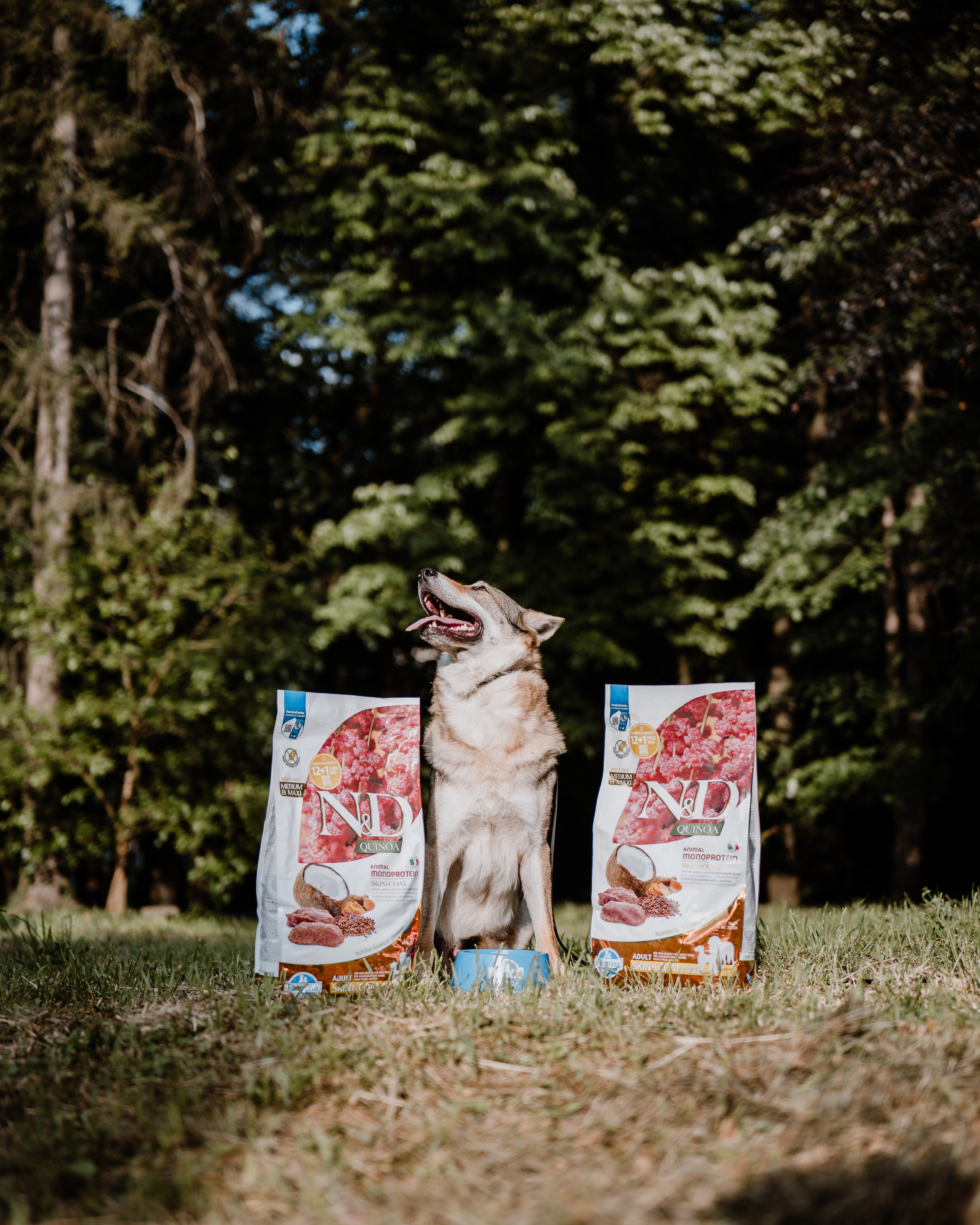 REEL FARMINA - Mâncare de câini