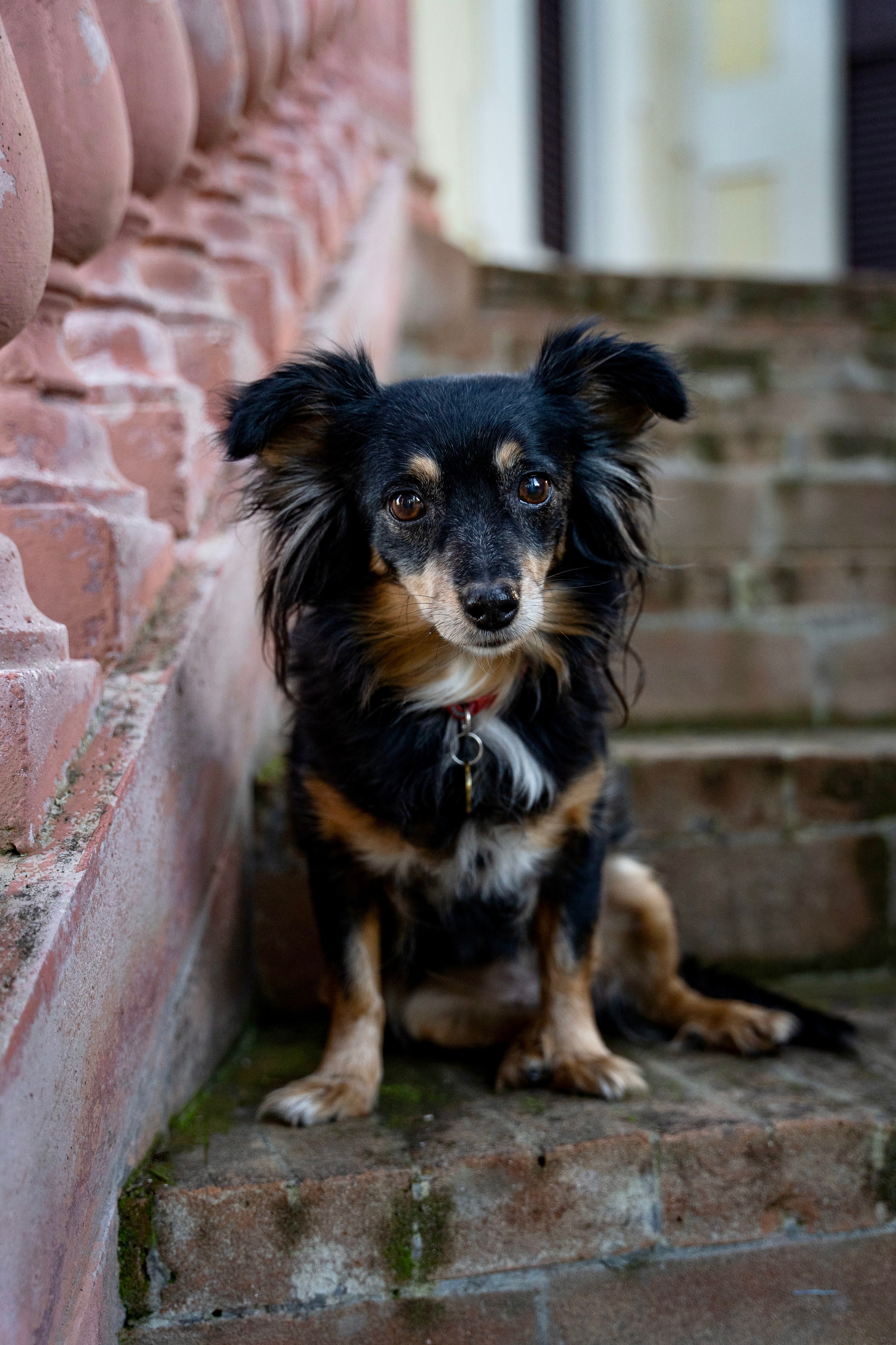 Francesca e Macchietta. Wedding photographer Natalia