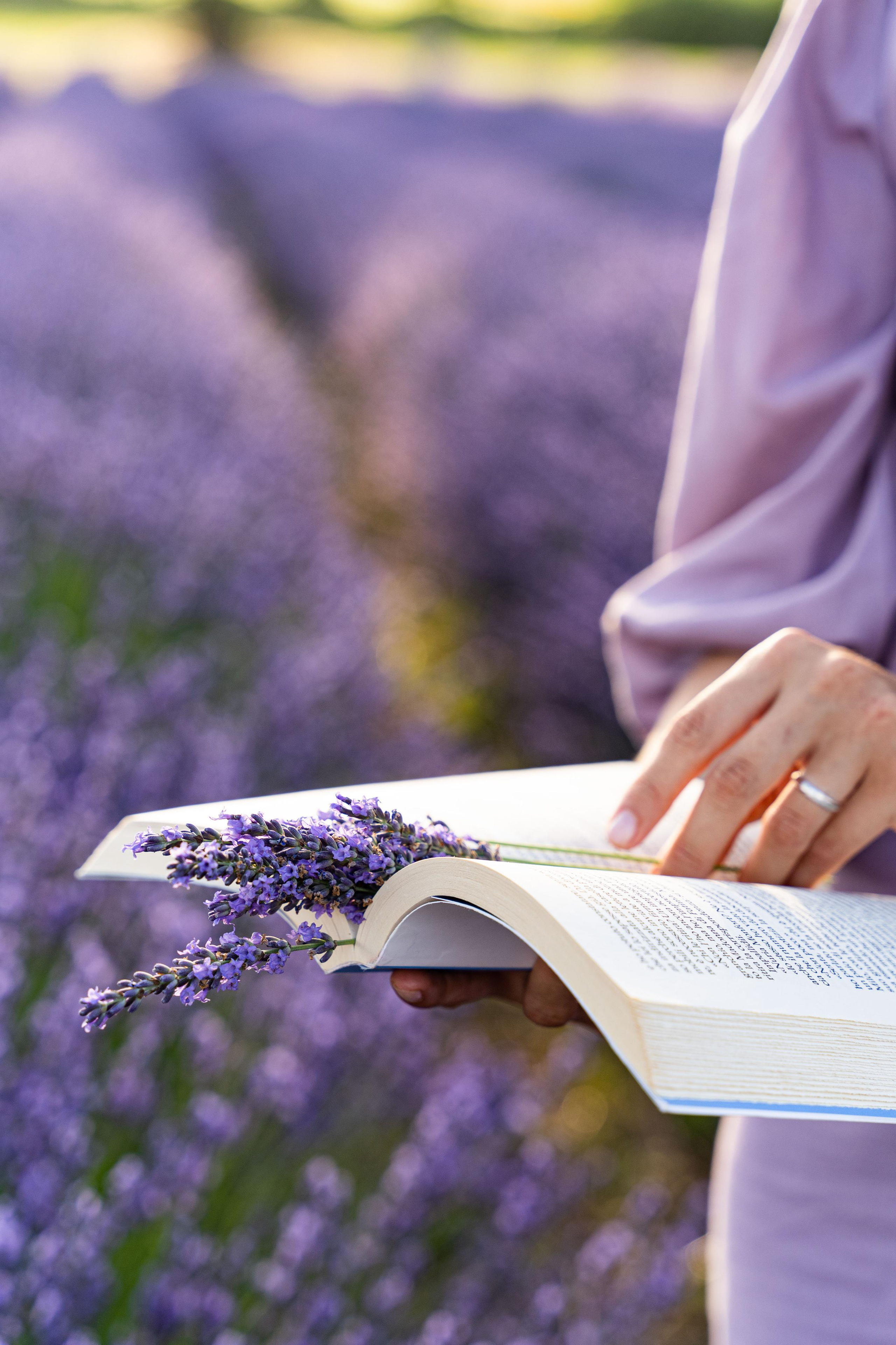 Lavender. Wedding photographer Natalia