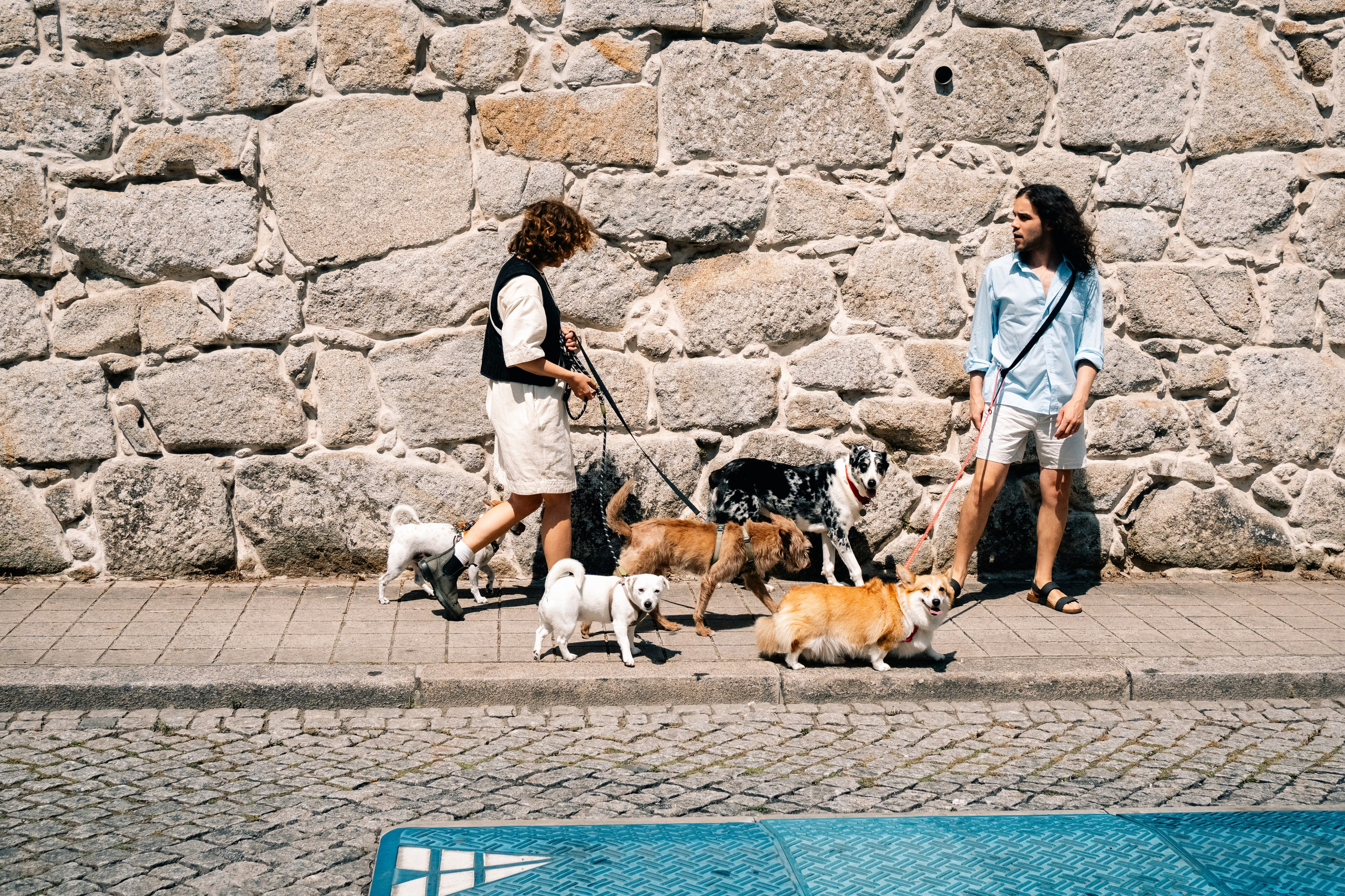 Yana & Pedro & Doggos. Maria Sher. Fotógrafa profissional do Porto, Portugal