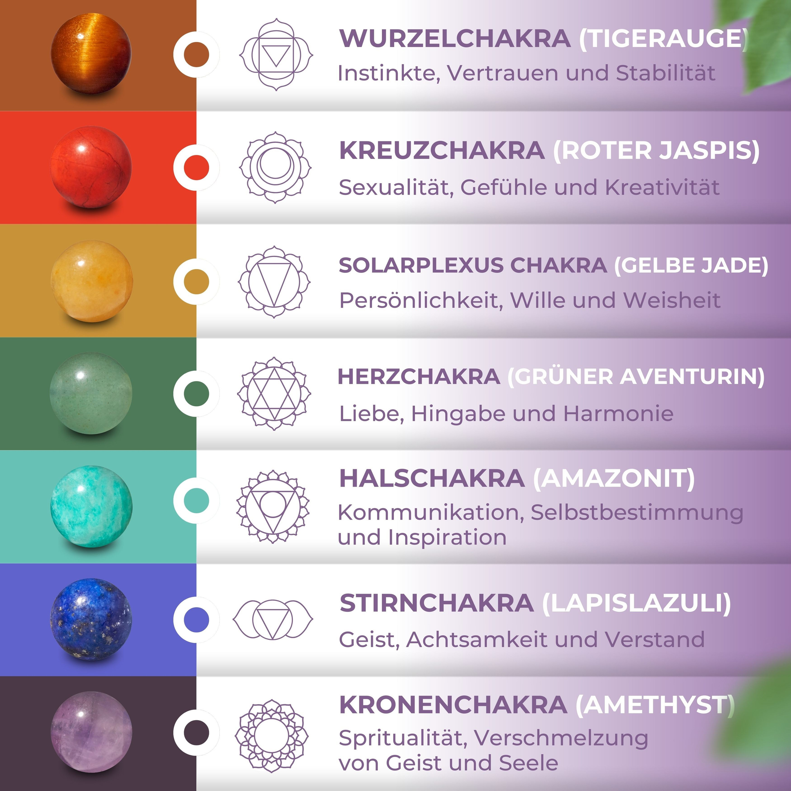 Amazon-Listings & Produktfotografie – Komplettservice für Seller. Daria Medved e-commerce Produktfotografin, Amazonfotografin in Hamburg