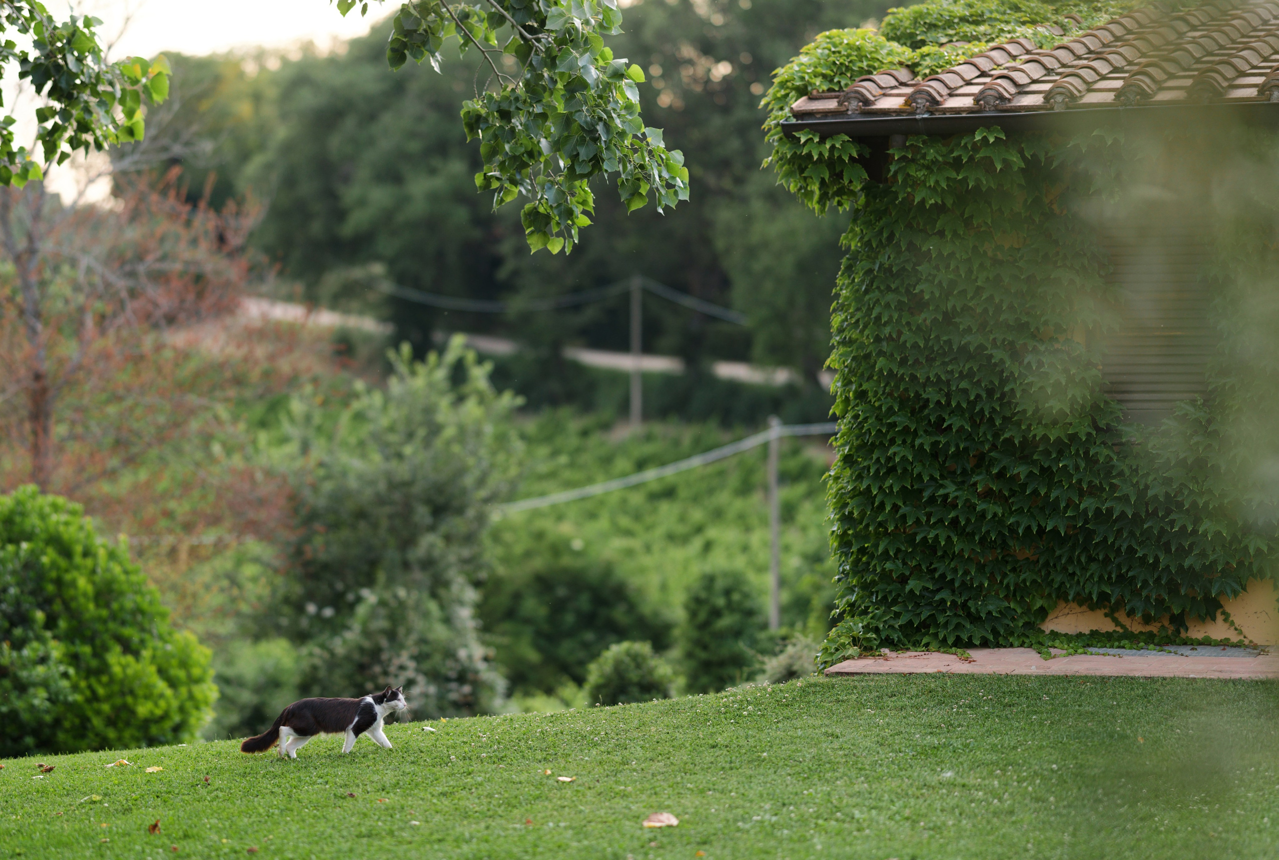 Wedding at Fonte Sala, Tuscany, Italy